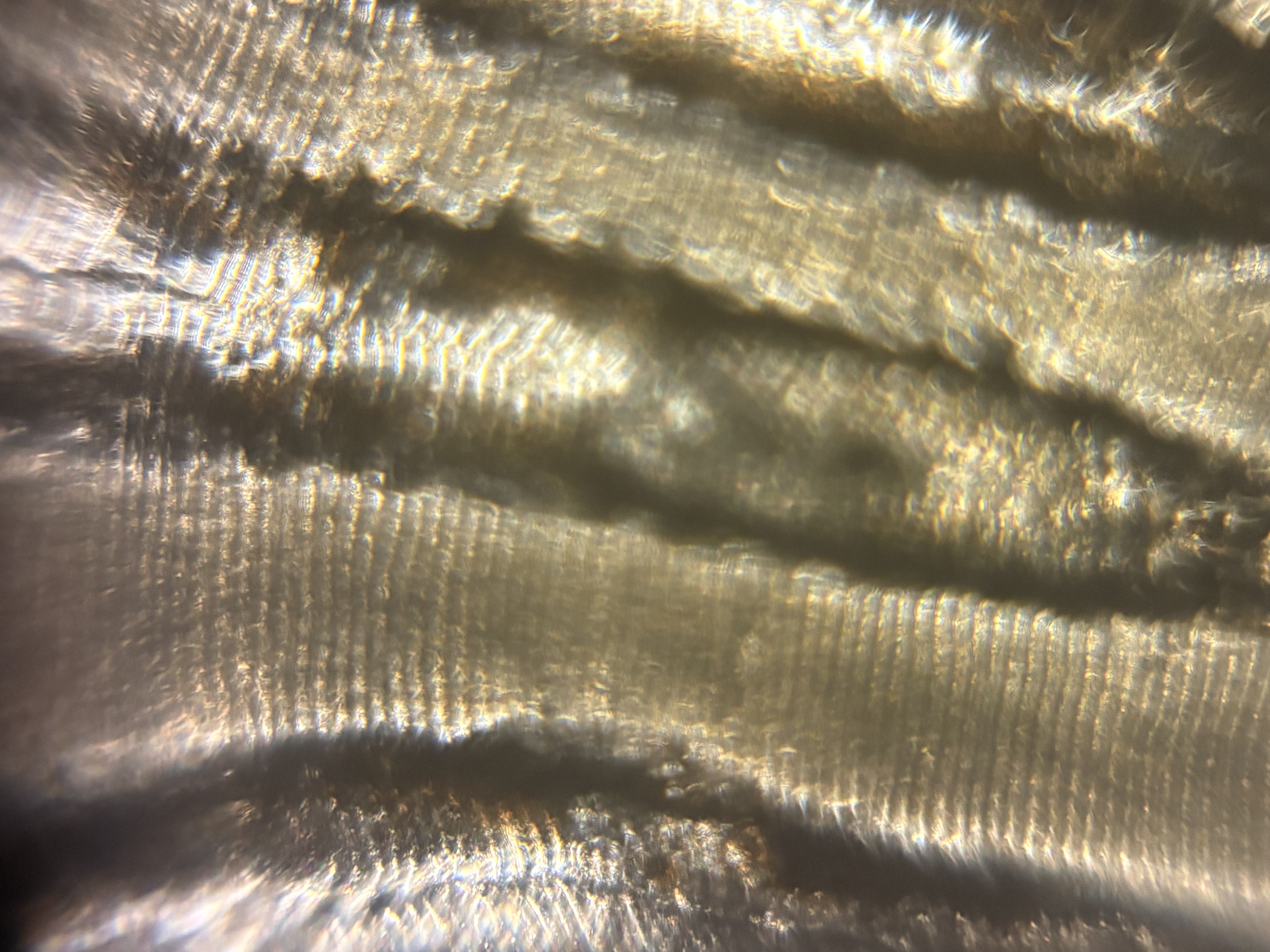 images%2F8Yi896oa53USpBdodktyyatmY943%2F8ey4EwcARFBYRvV39SVh%2F1b92c6a0-e6b9-4342-a533-f3e08a26666c.jpg?alt=media&token=10de12b0-55d5-430c-9ddb-c1eedd6a8c41