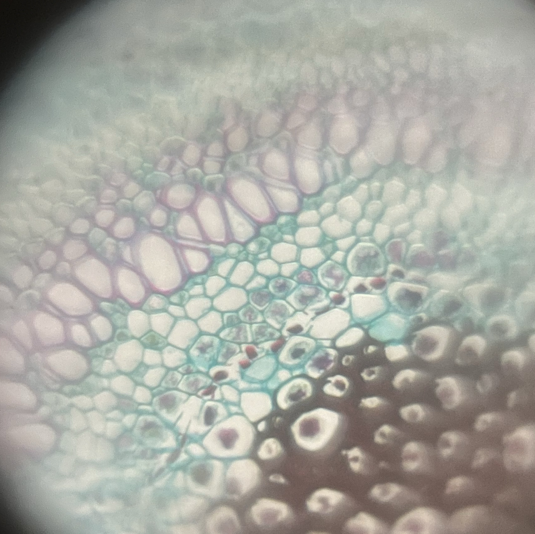 images%2F8e9fb51b-72ca-4963-868c-6d710fd1d4cf%2F4b1474ee-4106-4f33-a0bc-377c5dce0ceb.jpg?alt=media&token=79fd1715-347f-4f82-aa11-0ecf98ac5976