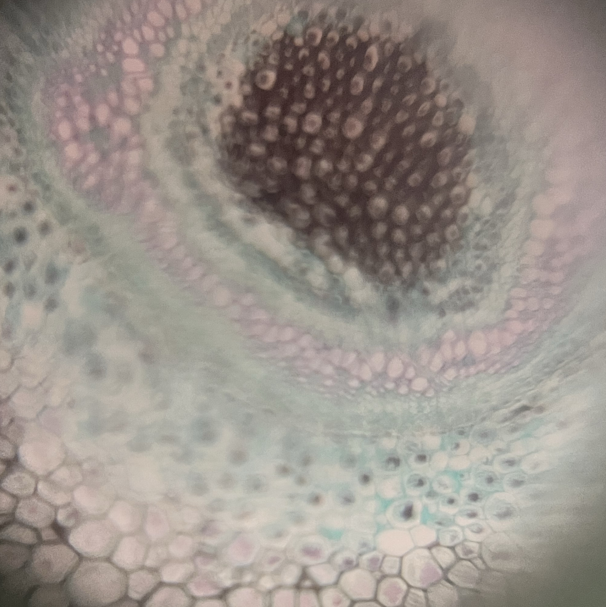 images%2F8e9fb51b-72ca-4963-868c-6d710fd1d4cf%2Fdfe3fb2f-83b4-4ec1-a4b4-2120be99479c.jpg?alt=media&token=1490a2a8-3ce0-49cf-a7b6-302b62c53371