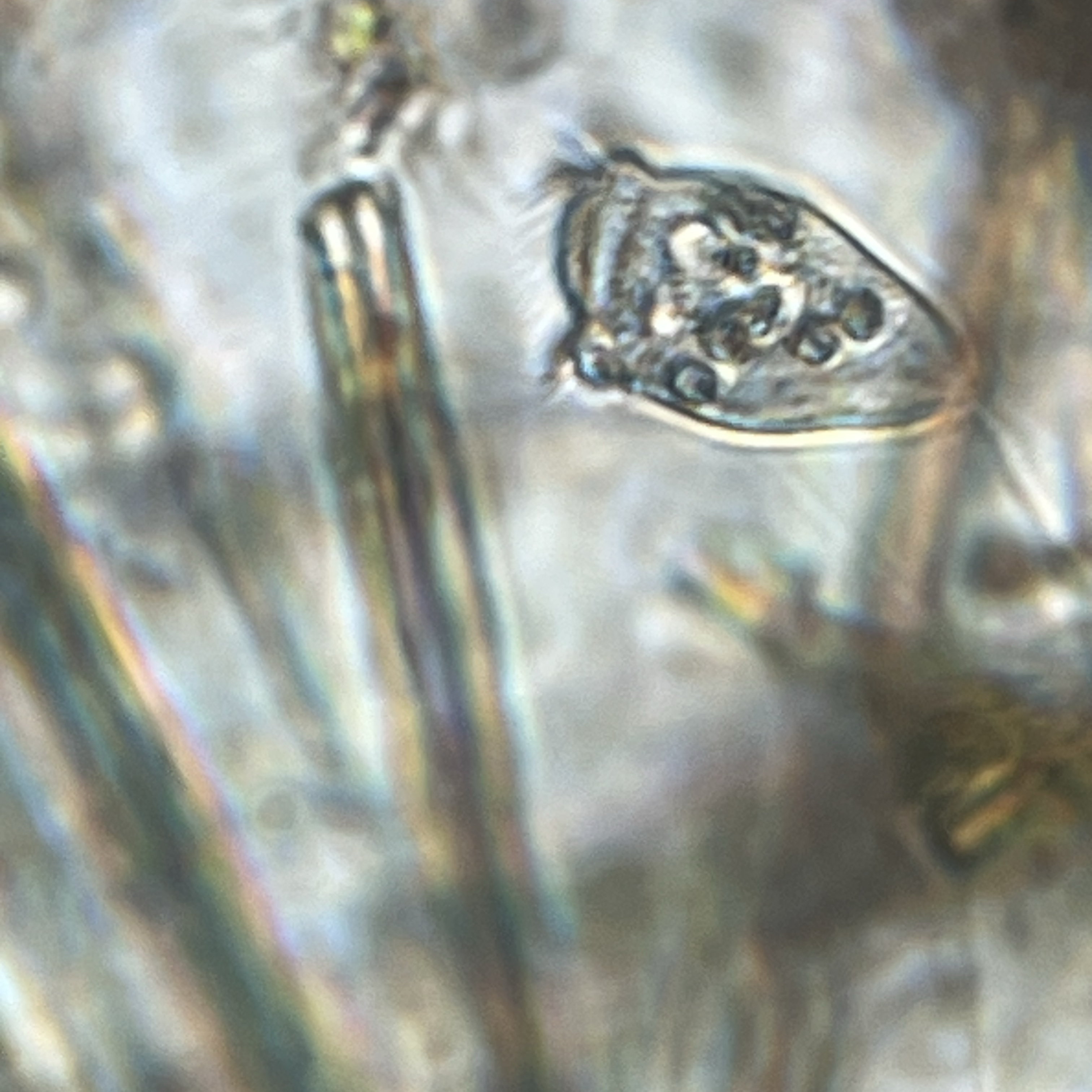 images%2F92af5355-c25e-418d-8f0c-be8eb3fab49e%2F97ee9276-f88c-4c11-842e-06f37ce31663.jpg?alt=media&token=78bbd53a-815f-46cd-9028-069a7c172f3a