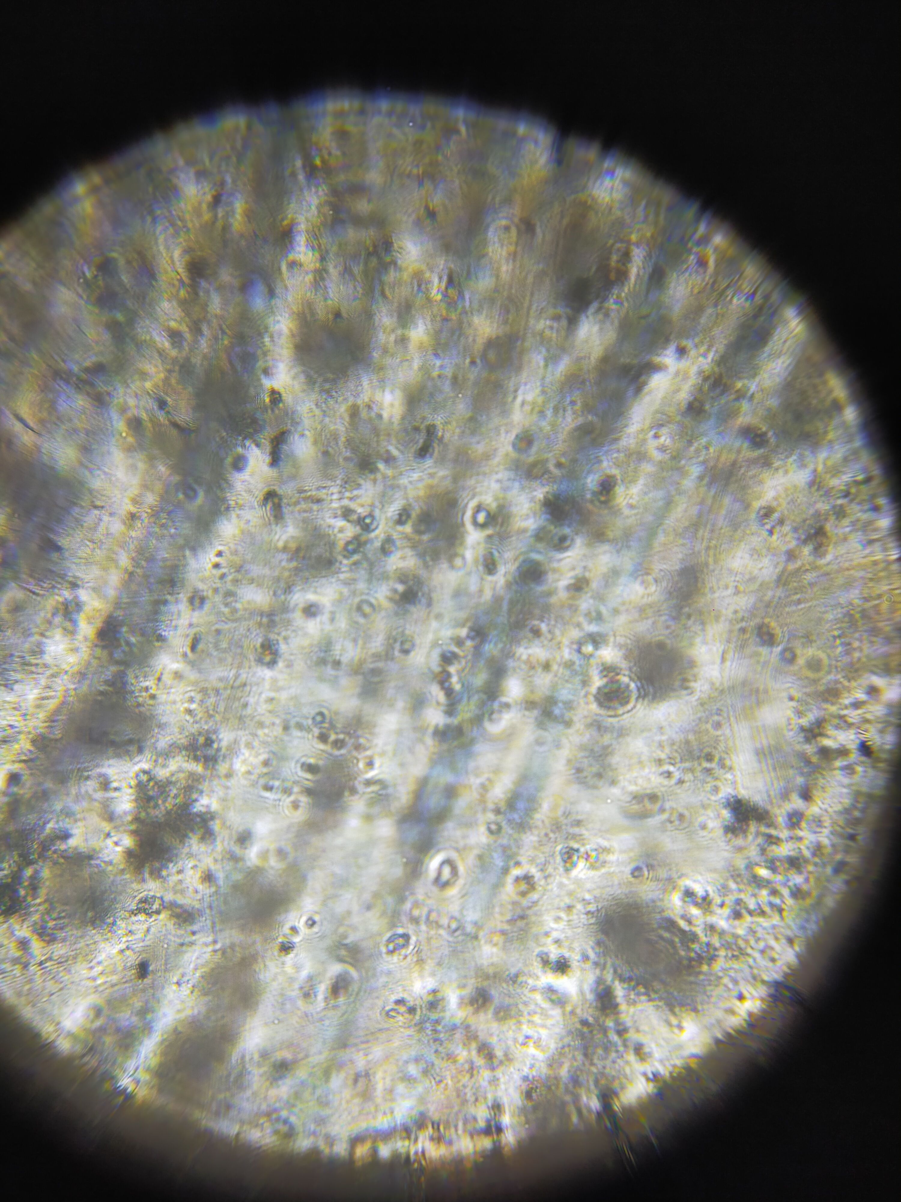 images%2F9NzR5uWlTeN4F0Z3W2nYRqp86262%2FNzksHtXJDYkrYhYVRPU7%2F4ad04b73-c627-42af-b60f-28b446bf816e.jpeg?alt=media&token=6762caf4-730e-4fc0-8b9e-24e3c0bb5c9f