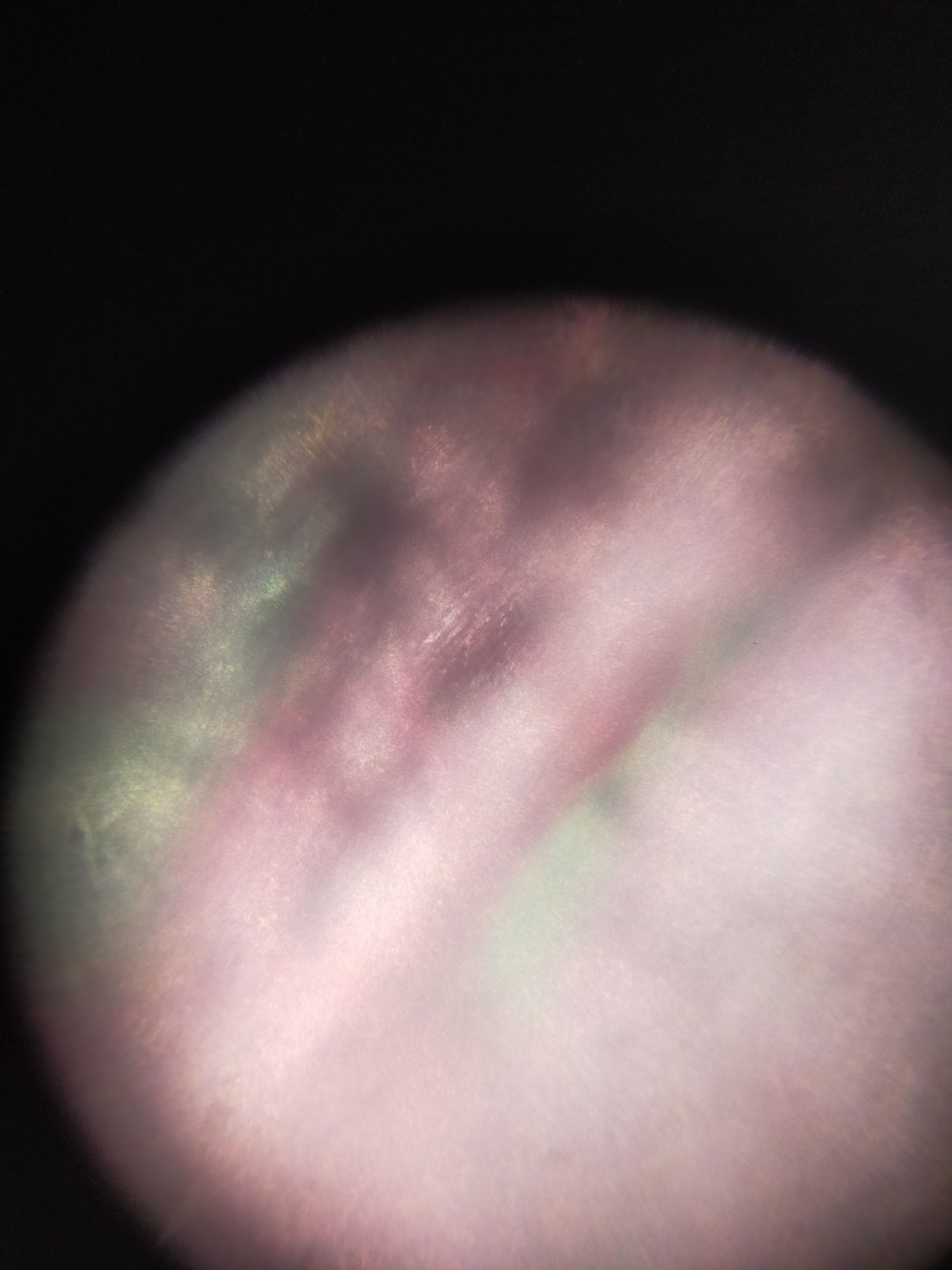 images%2F9NzR5uWlTeN4F0Z3W2nYRqp86262%2FpevsMXDIZzlzBQ4SBOvs%2Fca9ea6ea-79b9-4e90-aa95-aecdad1cffbb.jpeg?alt=media&token=a01640cf-e213-46f9-92be-c9058481dbf0