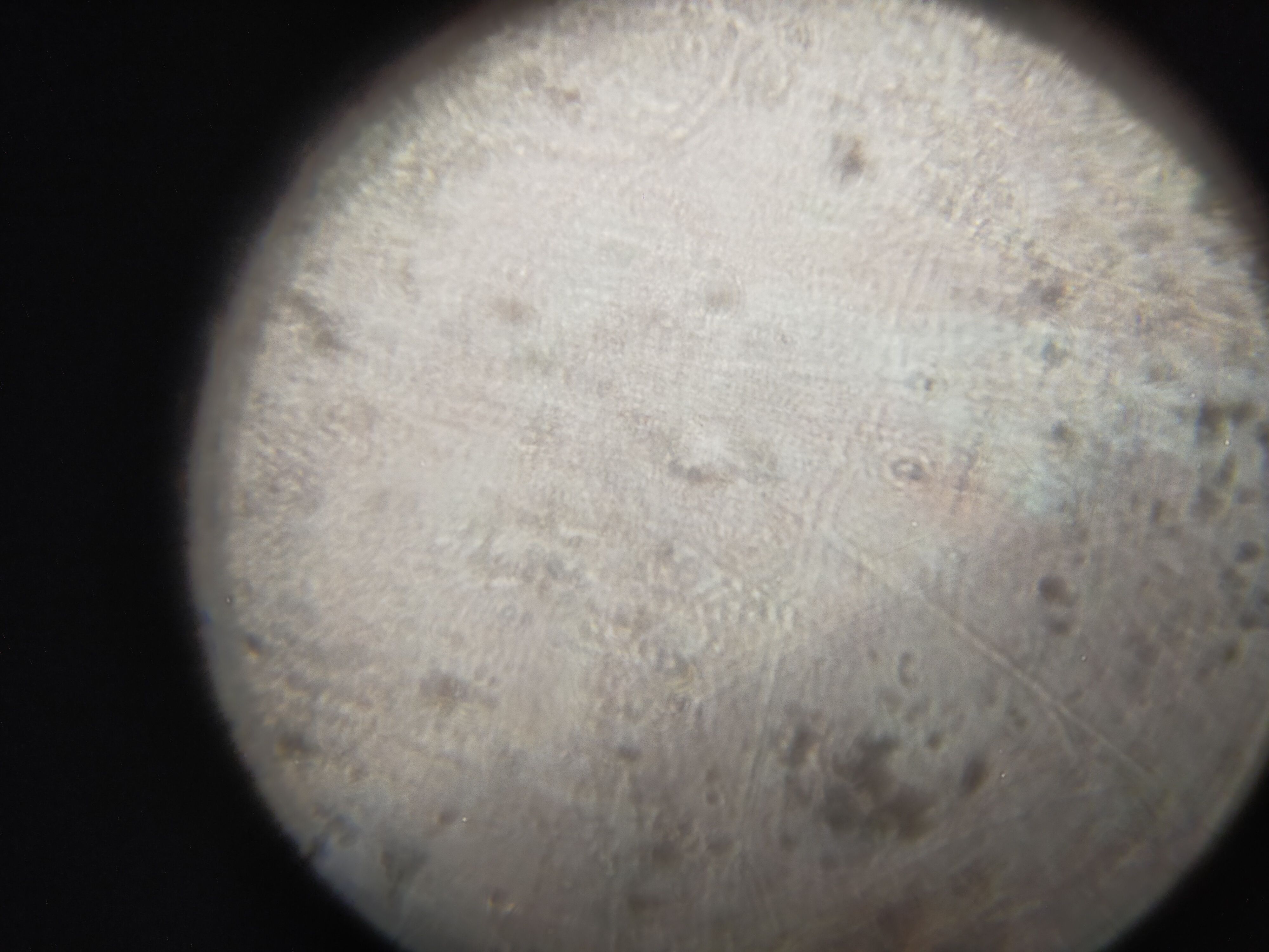 images%2F9NzR5uWlTeN4F0Z3W2nYRqp86262%2Fx96UauYPgbE0AZcHFl5F%2Fe4e3b0dd-b1c5-4dc0-81ca-448e34d7c55f.jpeg?alt=media&token=e2cc6885-ad7b-45c3-8c8d-2b8d60ba4f7a