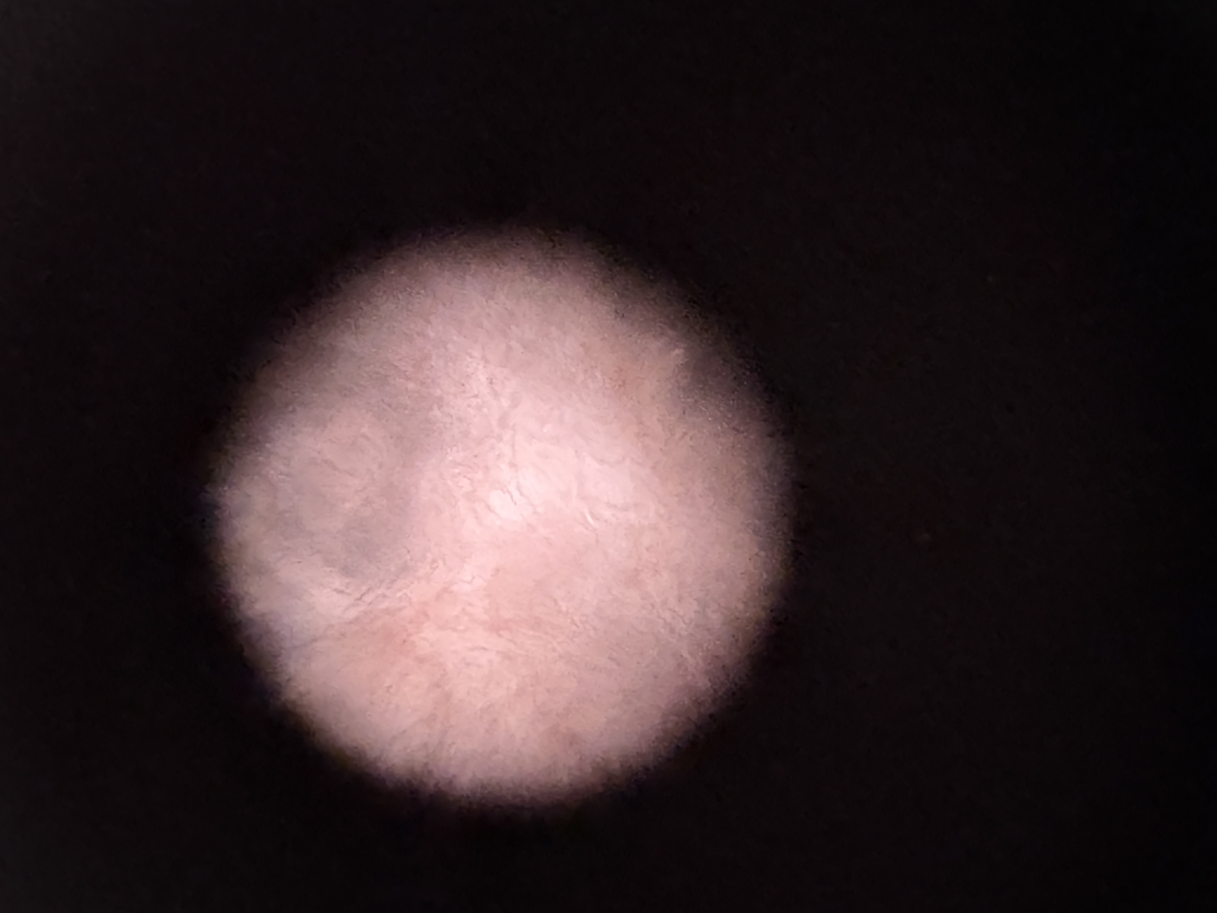 images%2FA0ZOQLCIeDedayBPAzWF4SugLqs1%2FwADI37KcfXCvCdzNi8l8%2Fd68dade5-048a-4062-8457-59350d9d953c.jpg?alt=media&token=31a5d483-c3af-4ce2-bfe3-a280a71601e1