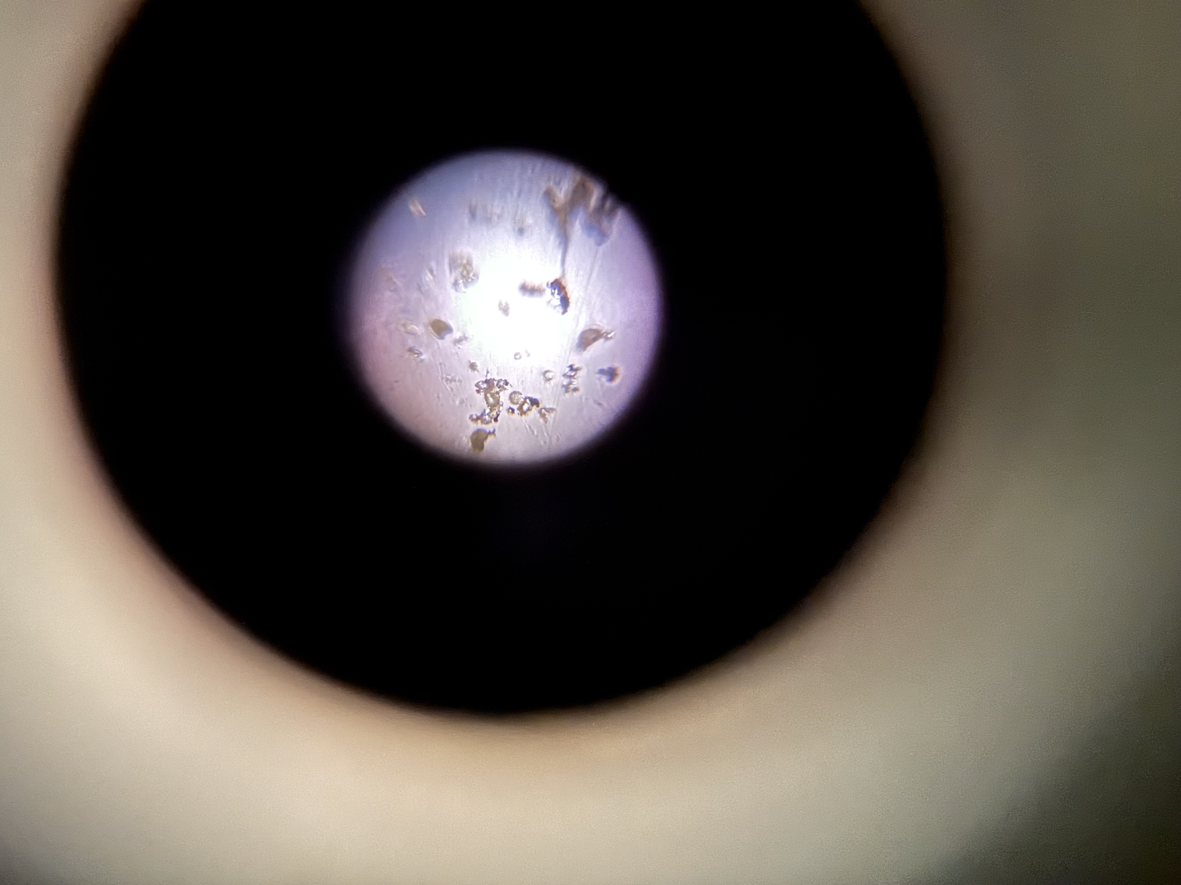 images%2FAZQ5eB7e04TX2khIyoJg5tUuGVV2%2F5EXZ0vf7xmQ9SYnbqVYr%2Fc11ea2b1-4868-4190-87b9-a45a4ad1e888.jpg?alt=media&token=78273646-5b65-4bc7-86a0-fb64e1e863b6