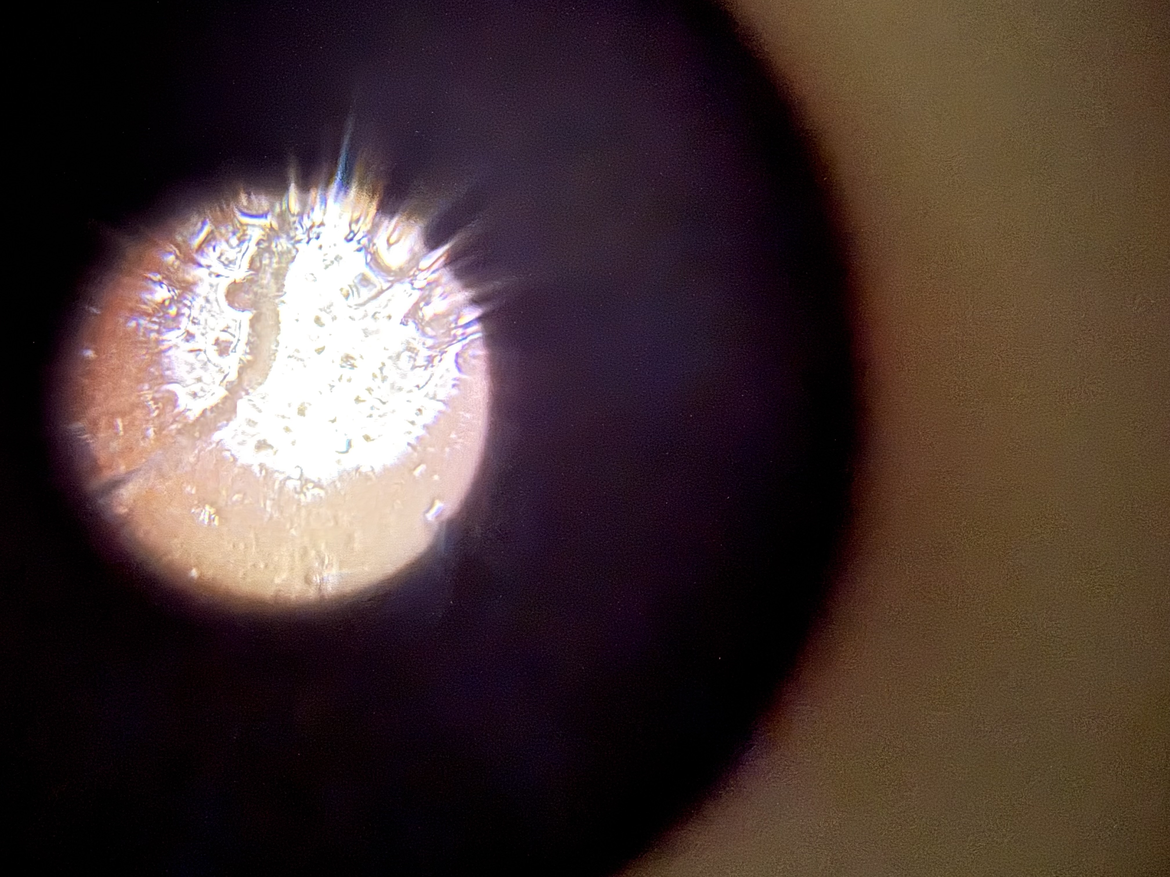 images%2FAZQ5eB7e04TX2khIyoJg5tUuGVV2%2FRjlBEAnLR5Qs1EAs5wg1%2Fcffb7152-4703-4c69-ae21-bf3cc55f015e.jpg?alt=media&token=d8f81543-e08c-426d-aa49-5f168109b786