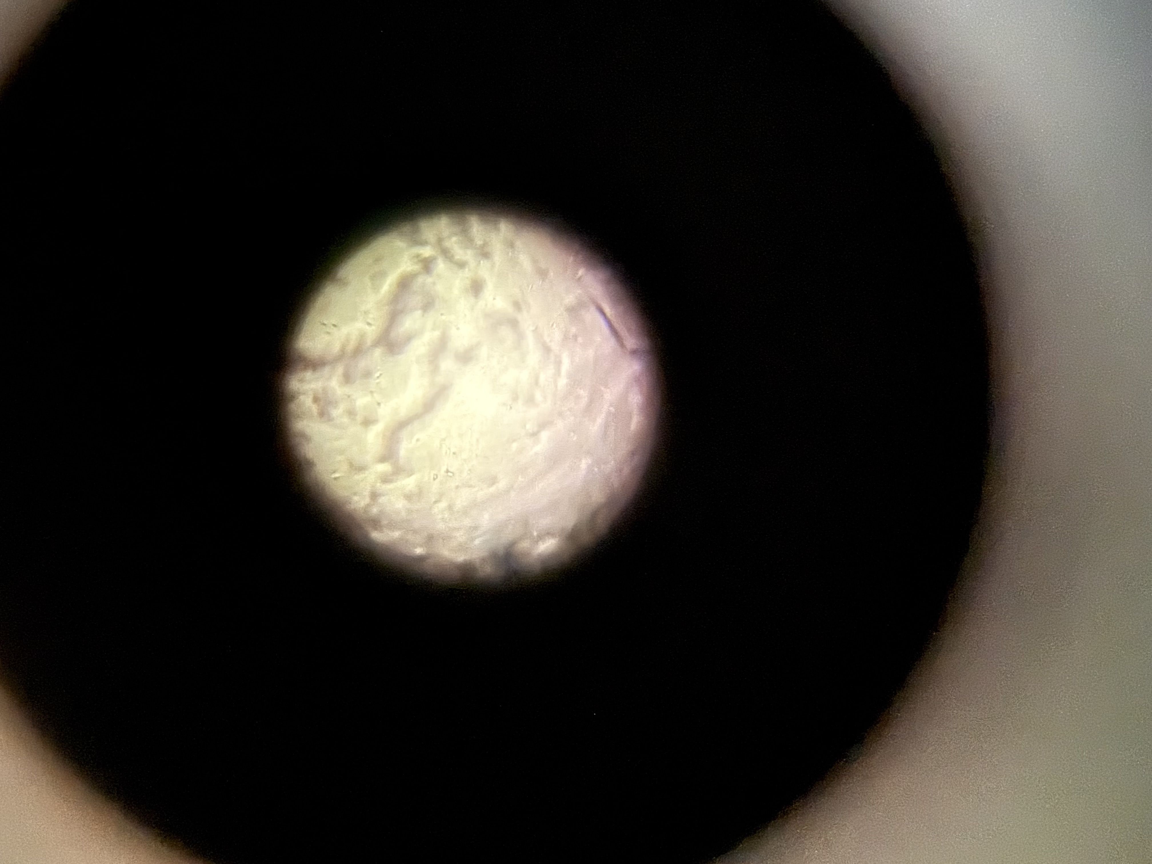 images%2FAZQ5eB7e04TX2khIyoJg5tUuGVV2%2FTF3paZ3XYgnRGK6qYjxu%2F86b3c31e-118e-465b-a2ef-52ff2a930aca.jpg?alt=media&token=9784f297-75d8-40d8-86bd-37408f90febd