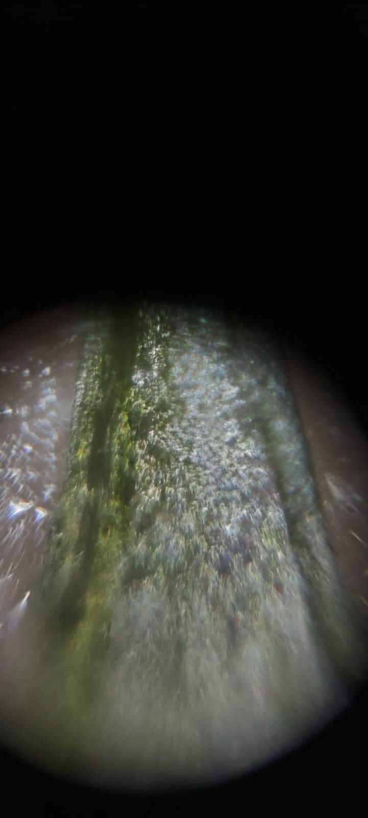 images%2FBKMawQzNbnTb2s52hpn5evQoT9G2%2FflFQv8MYiVTc3XNZ52WK%2F9d30762a-aa0a-454b-987d-ccc3ac4ae5bd.jpeg?alt=media&token=79db82bc-096a-412a-9877-0c4bed3d596a