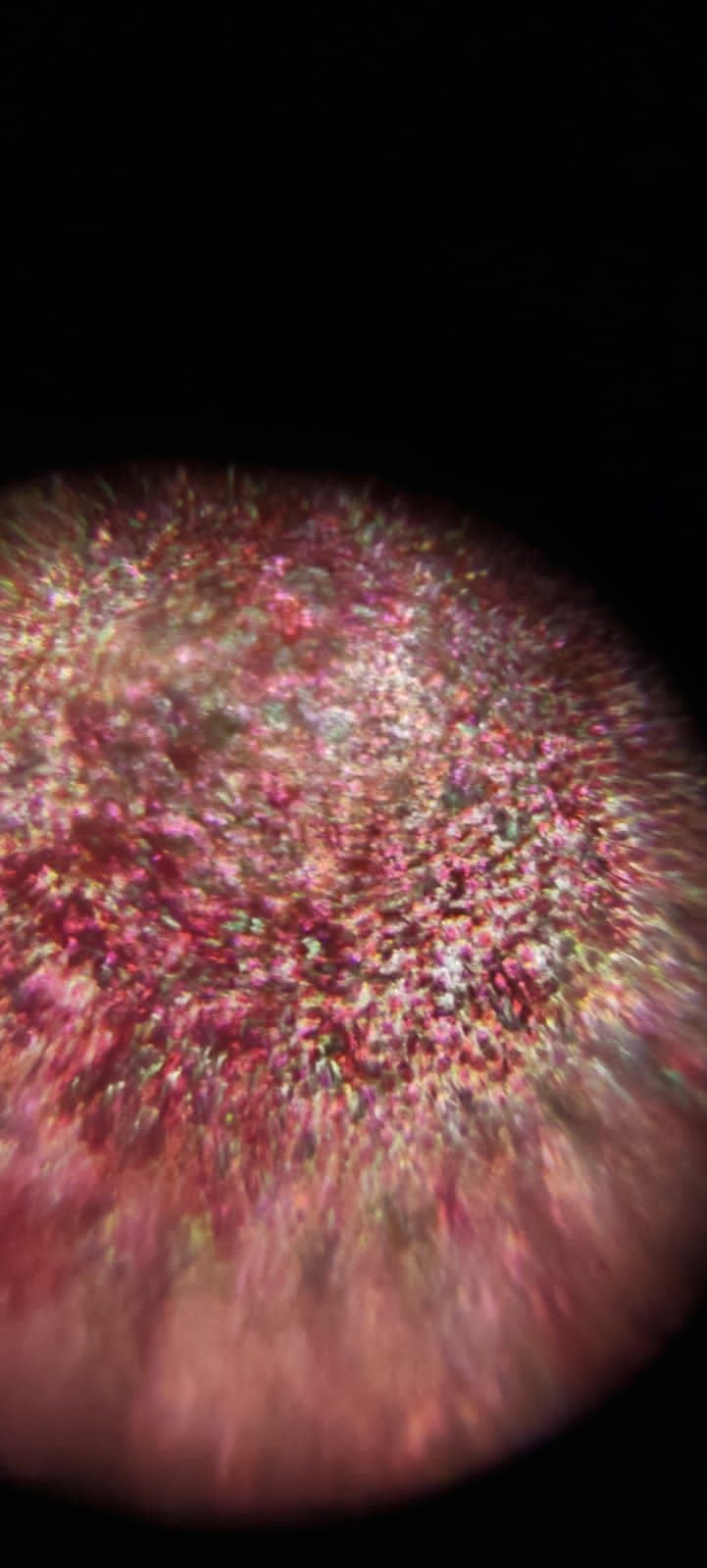 images%2FBKMawQzNbnTb2s52hpn5evQoT9G2%2FnAO3Be1YwYdXSKcCz6Cv%2Fa4041c2f-22fe-46a0-a5b4-2815c2bb3195.jpeg?alt=media&token=c85d2ab0-0d9f-4de3-948d-0c2c3d7e347d