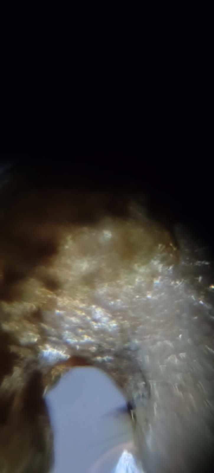 images%2FBKMawQzNbnTb2s52hpn5evQoT9G2%2FsRiGTFfnnEO1h5LdmDra%2F91313391-df8a-4396-83ca-d3b63731dfc2.jpeg?alt=media&token=1c9eabe4-d3d7-45df-96ee-6940037cb764