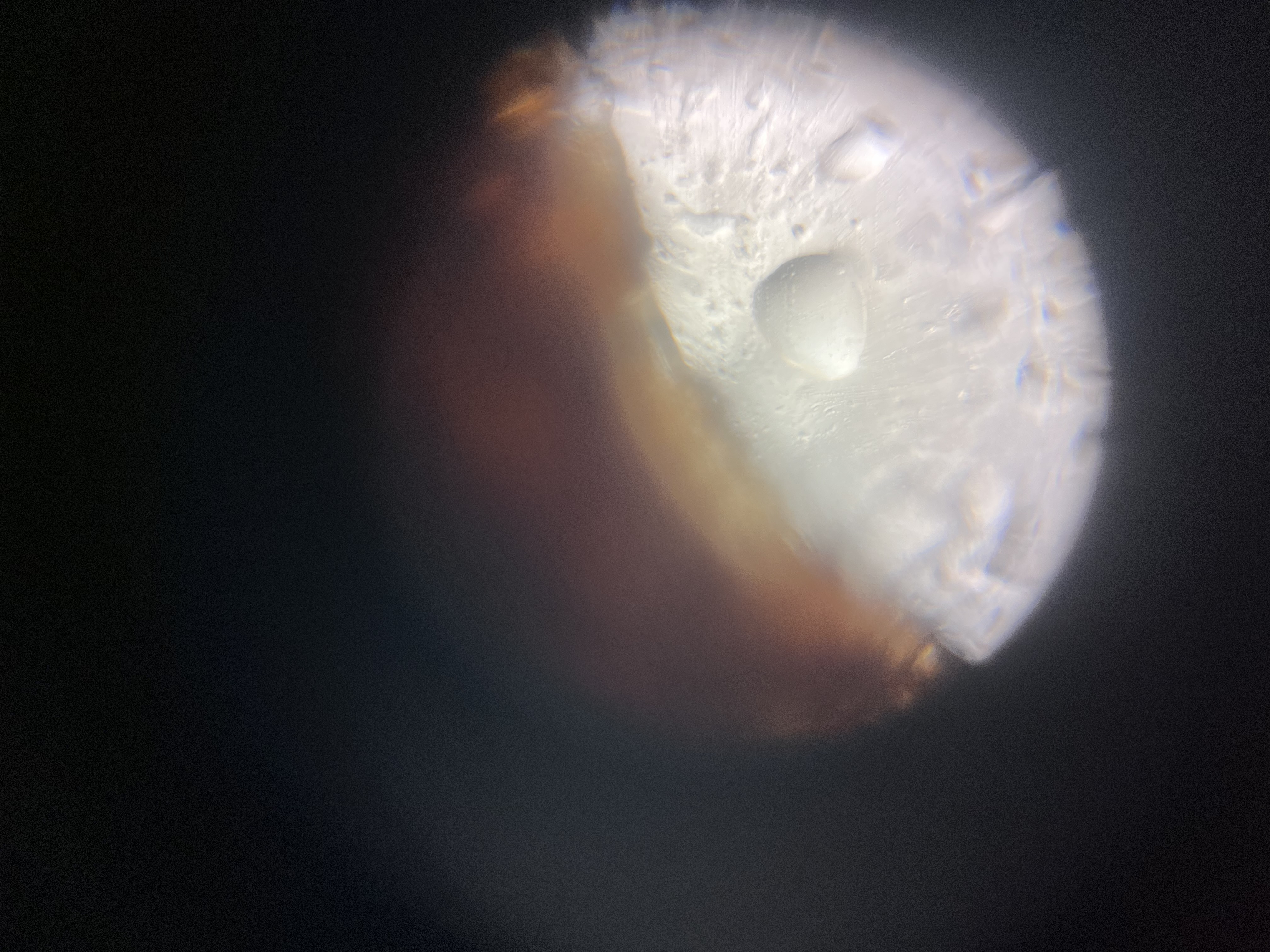 images%2FBsF44i0BOQaVGDaNmnOeNvkGm8f2%2FQ1tarYj46H94igP2t4VF%2Fff114245-454c-4cf3-9b0c-e060f2d9d551.jpg?alt=media&token=3f3eac5a-b545-43e0-9bf7-5fca1e739886