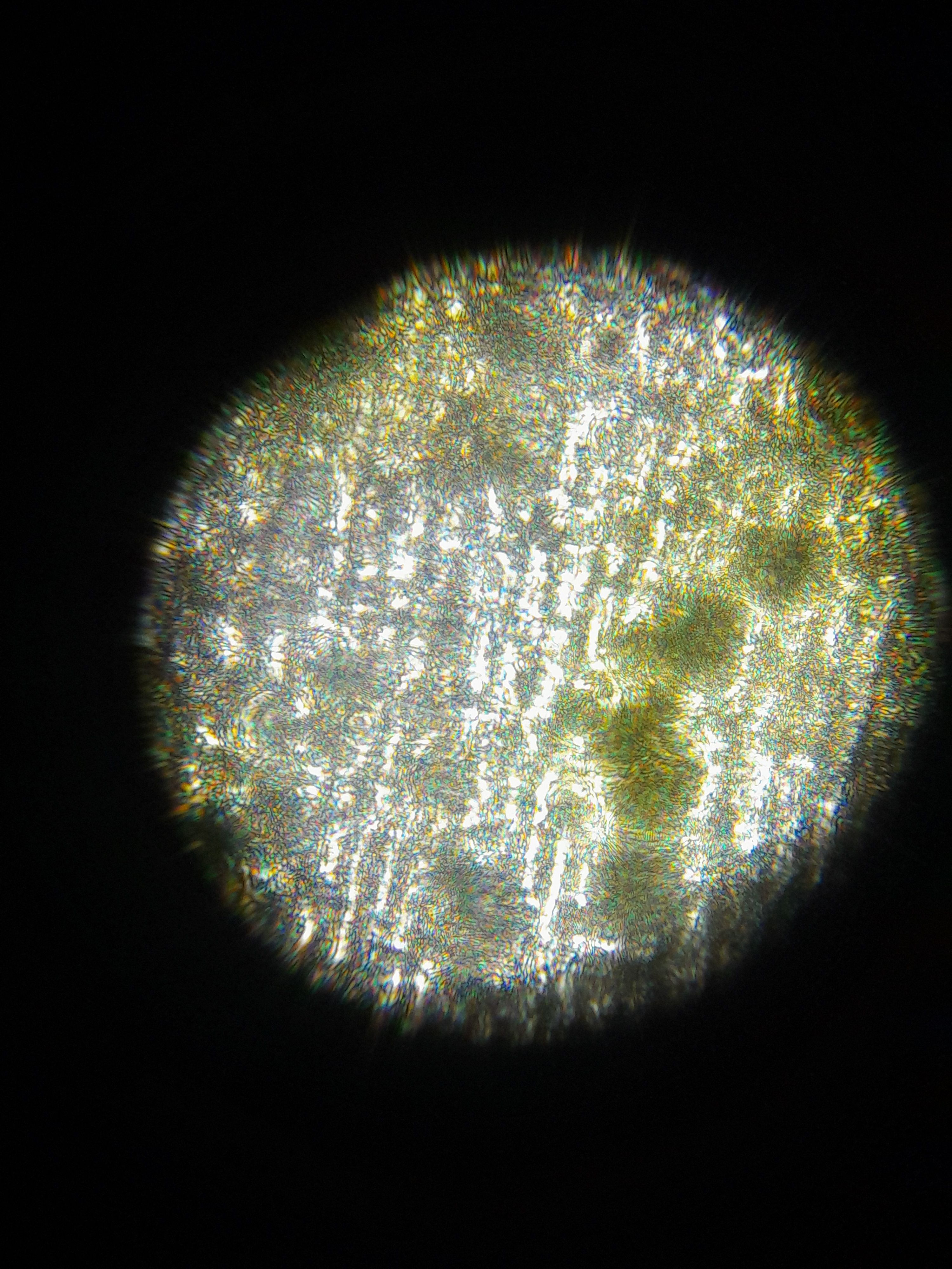 images%2FFyYF9i56Z1XKcg2ANUitT6a8kCr2%2FmrKeaIgAAryp3OLBLhRD%2F9d041451-baf4-47fd-a119-b8be3e0a31b8.jpeg?alt=media&token=5af04b8b-ecc6-41a0-9783-534deb82b184