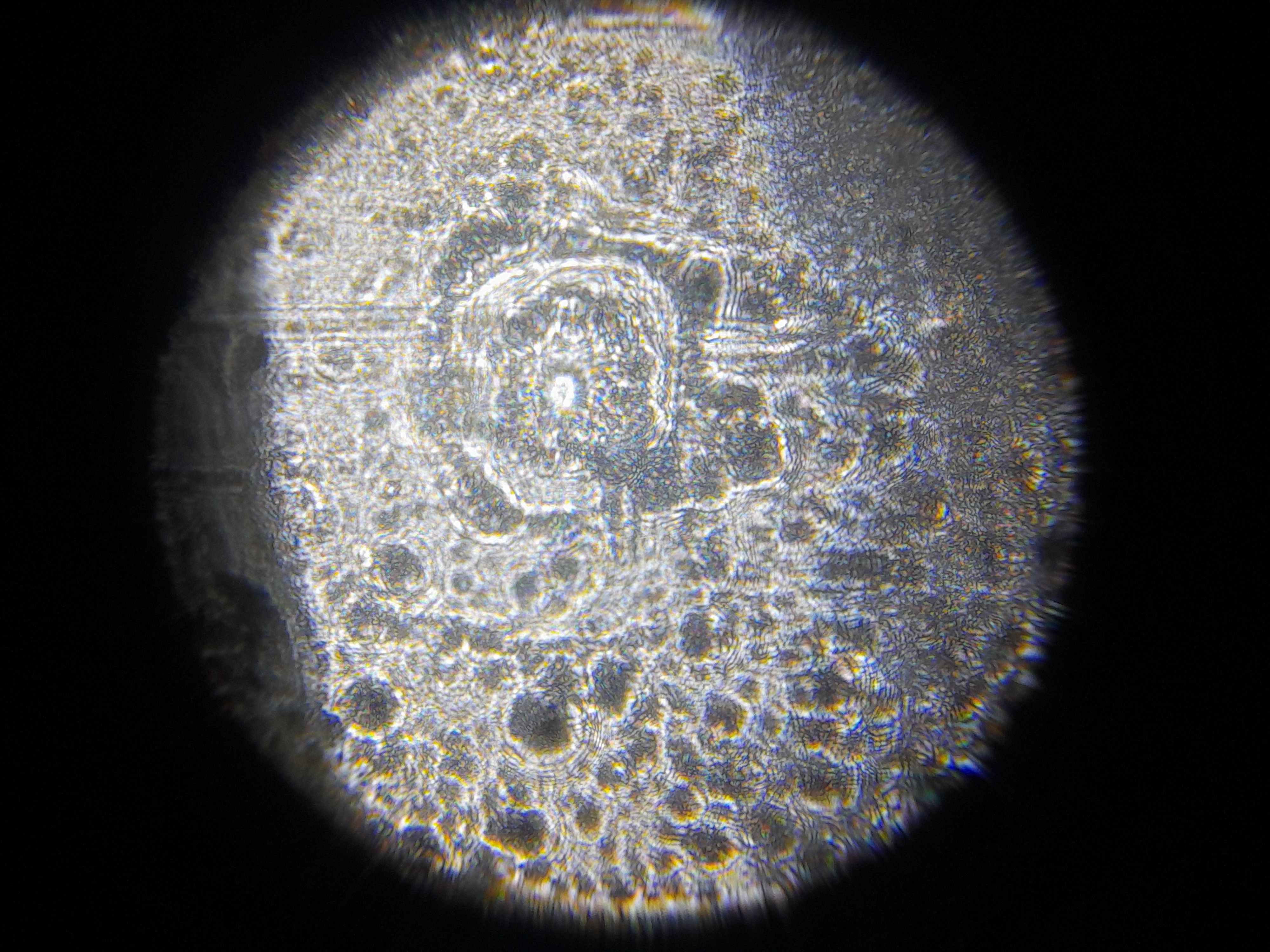 images%2FFyYF9i56Z1XKcg2ANUitT6a8kCr2%2FwFrOdeO6tLSSsriVe0lH%2Fc4f326c7-d75e-4cdd-927e-c34f85465b11.jpeg?alt=media&token=4aa4b044-be38-4f0a-862a-3324d3903b4b