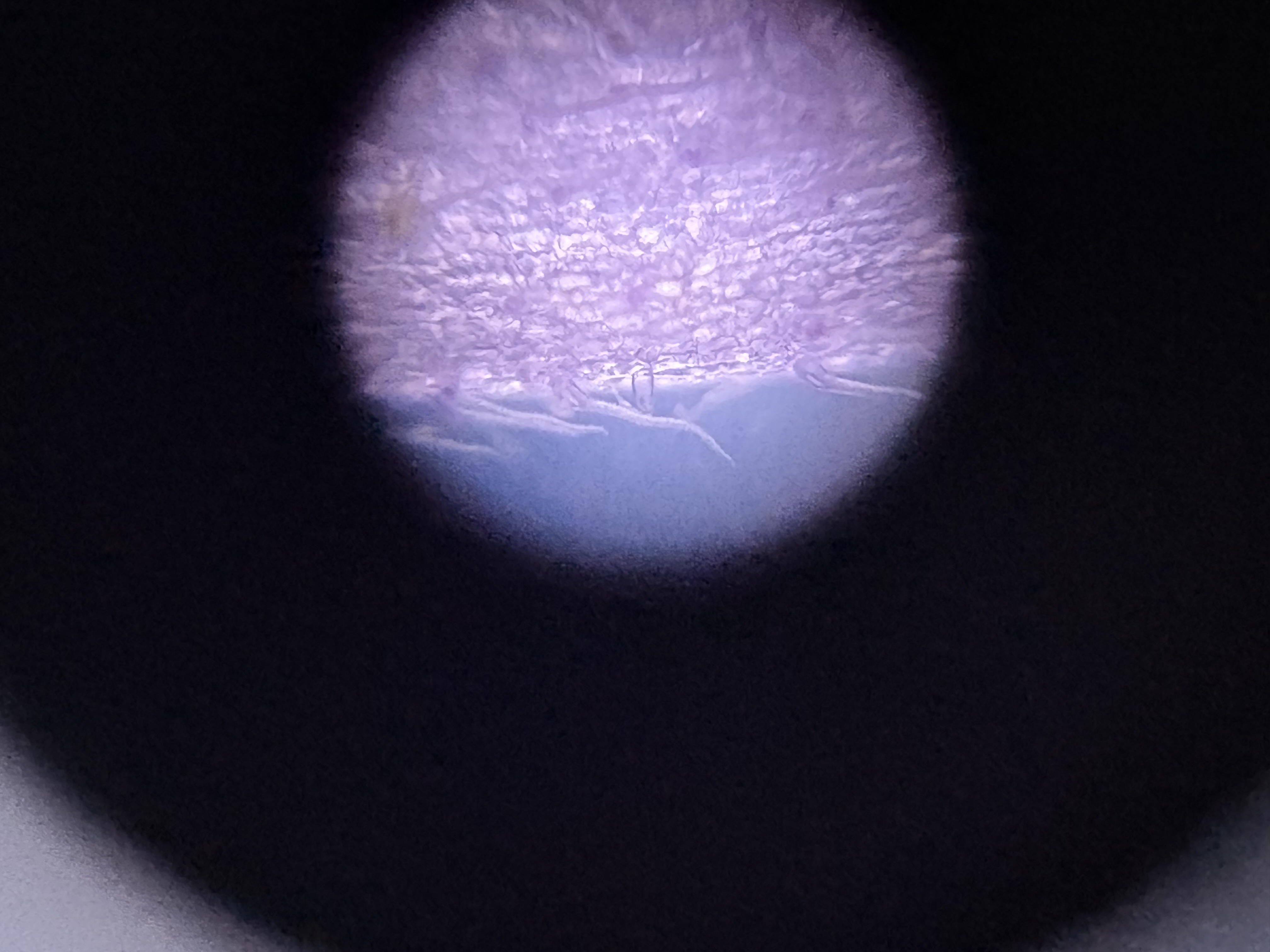 images%2FHd3YMJWAi9X8aJxbSJU7KtEYXmd2%2Fylc1ioeBf8Uhar8nUG6l%2F719ecced-3e26-4c89-82aa-7dae70a4520c.jpg?alt=media&token=84f2bb99-59fe-487e-832a-0c649ba6ba3d