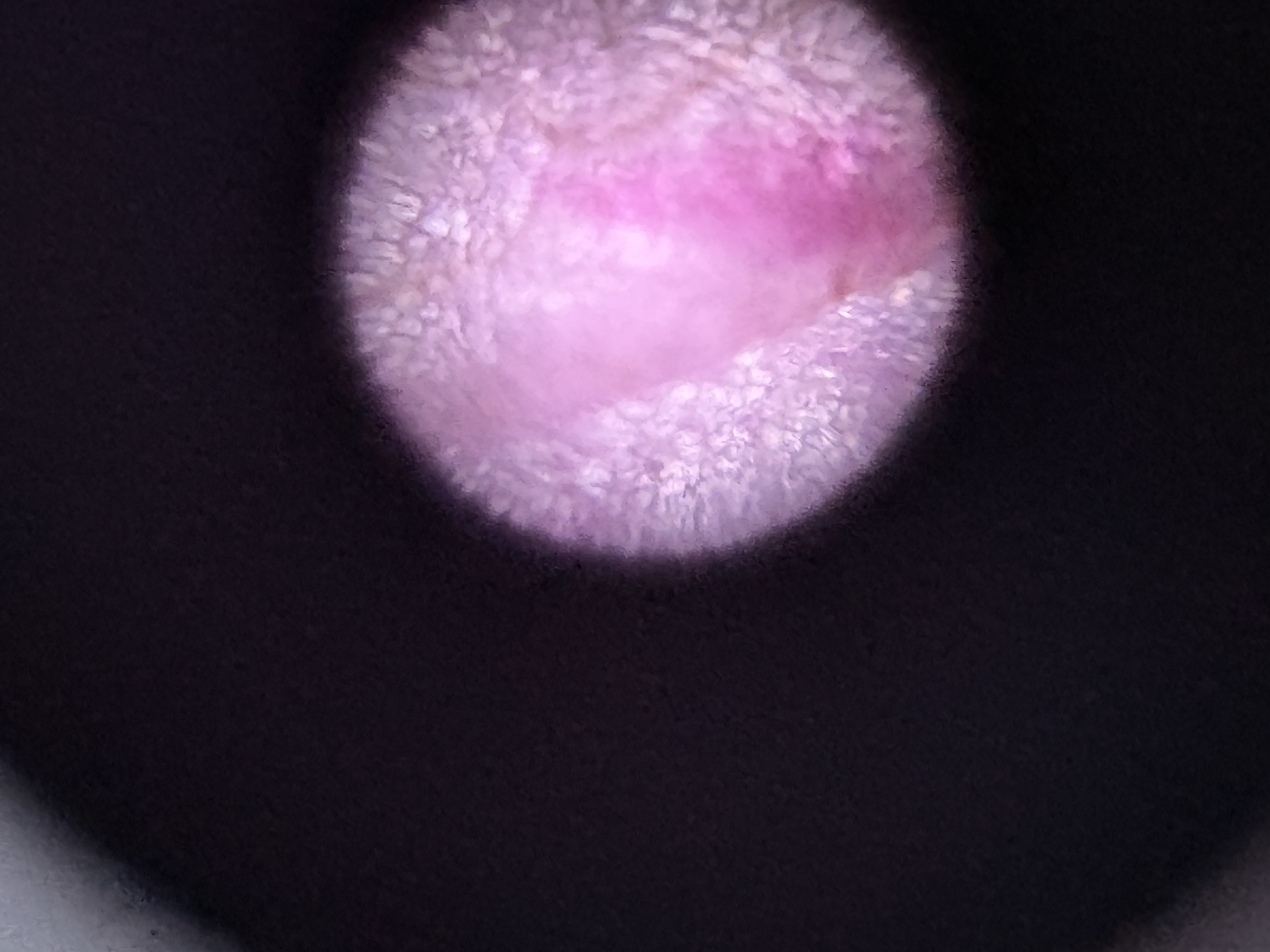 images%2FHd3YMJWAi9X8aJxbSJU7KtEYXmd2%2Fylc1ioeBf8Uhar8nUG6l%2Fabc05ba5-4c9f-4e9d-b407-4f310859102c.jpg?alt=media&token=b6f4f15a-f882-496f-ba07-3f0a8f3f3023