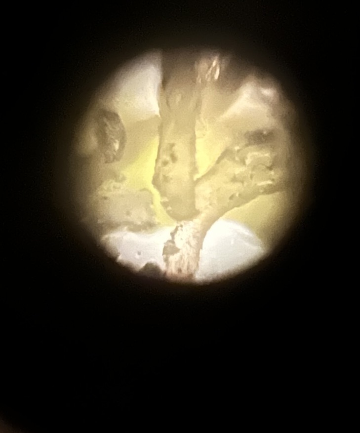 images%2FI1Q90Fs9wDXRDA04RwVqucq0cy23%2F6pi68g1tl878fOmURLBH%2F6bf52b41-7f47-429e-94d3-b0d017dc44af.jpg?alt=media&token=85acbc6e-8123-41aa-a009-540d8331c06f