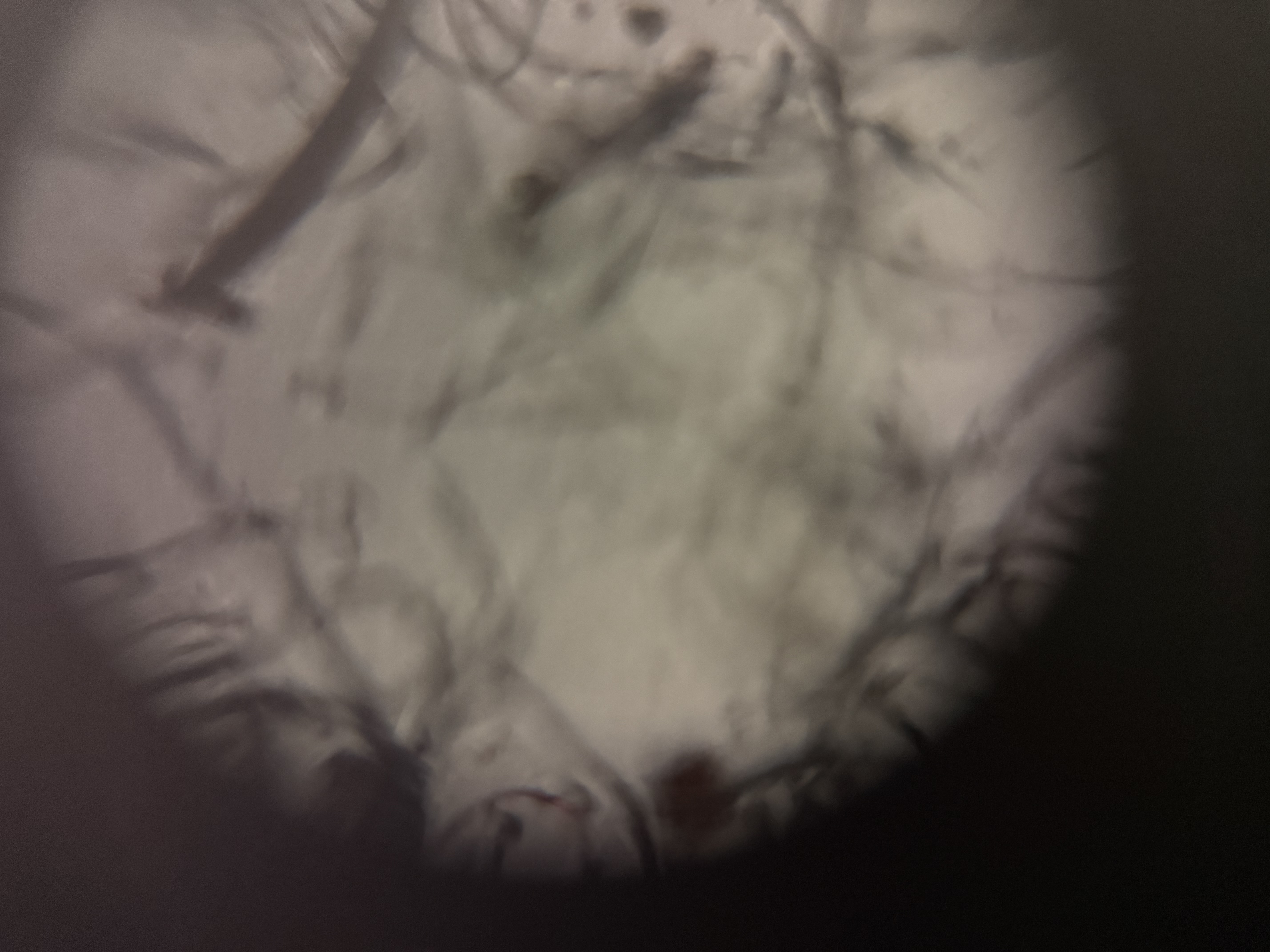 images%2FIOLAd88Ja7QgVuOLswW0Osoa7nS2%2FErY7q2Y8Wezxdi1II6vh%2F7e36ee43-69e6-4e14-9503-8bac61848071.jpg?alt=media&token=8133c8bc-1f6b-46a4-a2cd-1e3d519ae09c