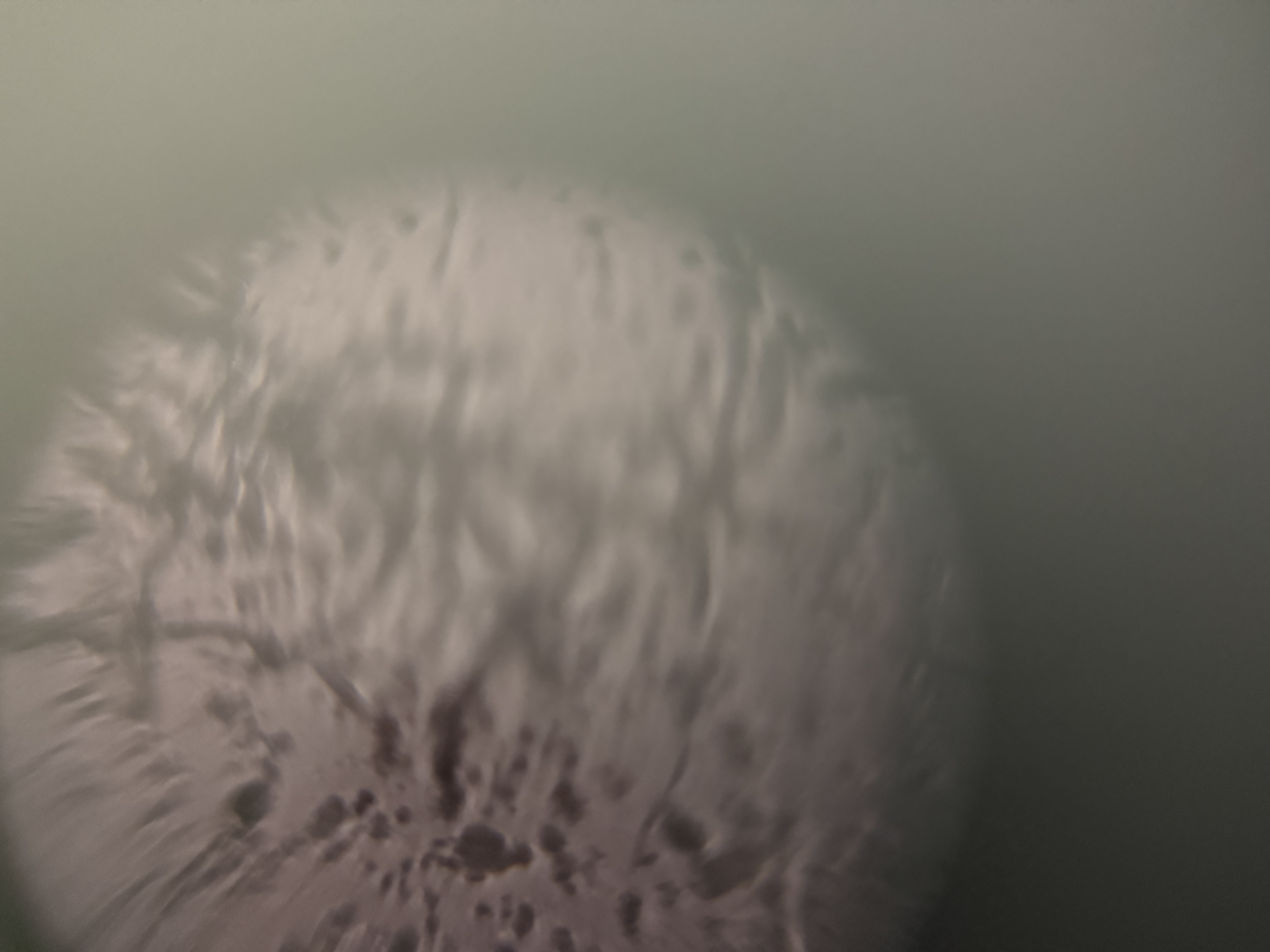 images%2FIOLAd88Ja7QgVuOLswW0Osoa7nS2%2FFb3YnQFAxDxAzoUvBpcc%2F65ff3248-9cff-481e-9c47-9cbff58346a9.jpg?alt=media&token=710660eb-5feb-4508-bd95-85d698d8a2d5