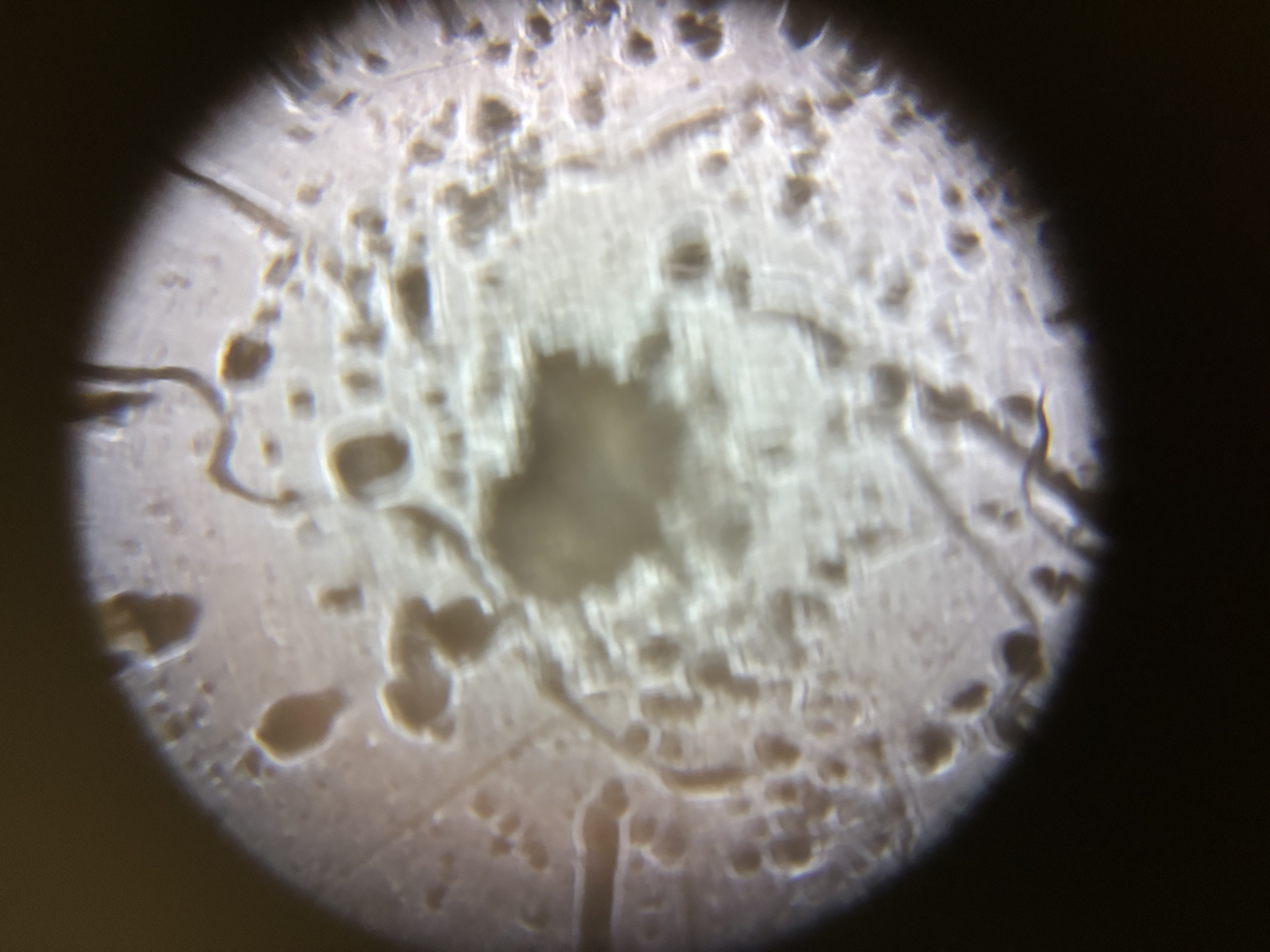 images%2FKxxjOoKVRAWo5ilB9YP5Uq3SW1w2%2F43Qkh4CJt8vYt8ml6ic4%2Fcd295515-10a5-456b-9951-bd86be6ba4b8.jpg?alt=media&token=634b2a1a-c3a8-427b-ac80-e5eb046f3de5