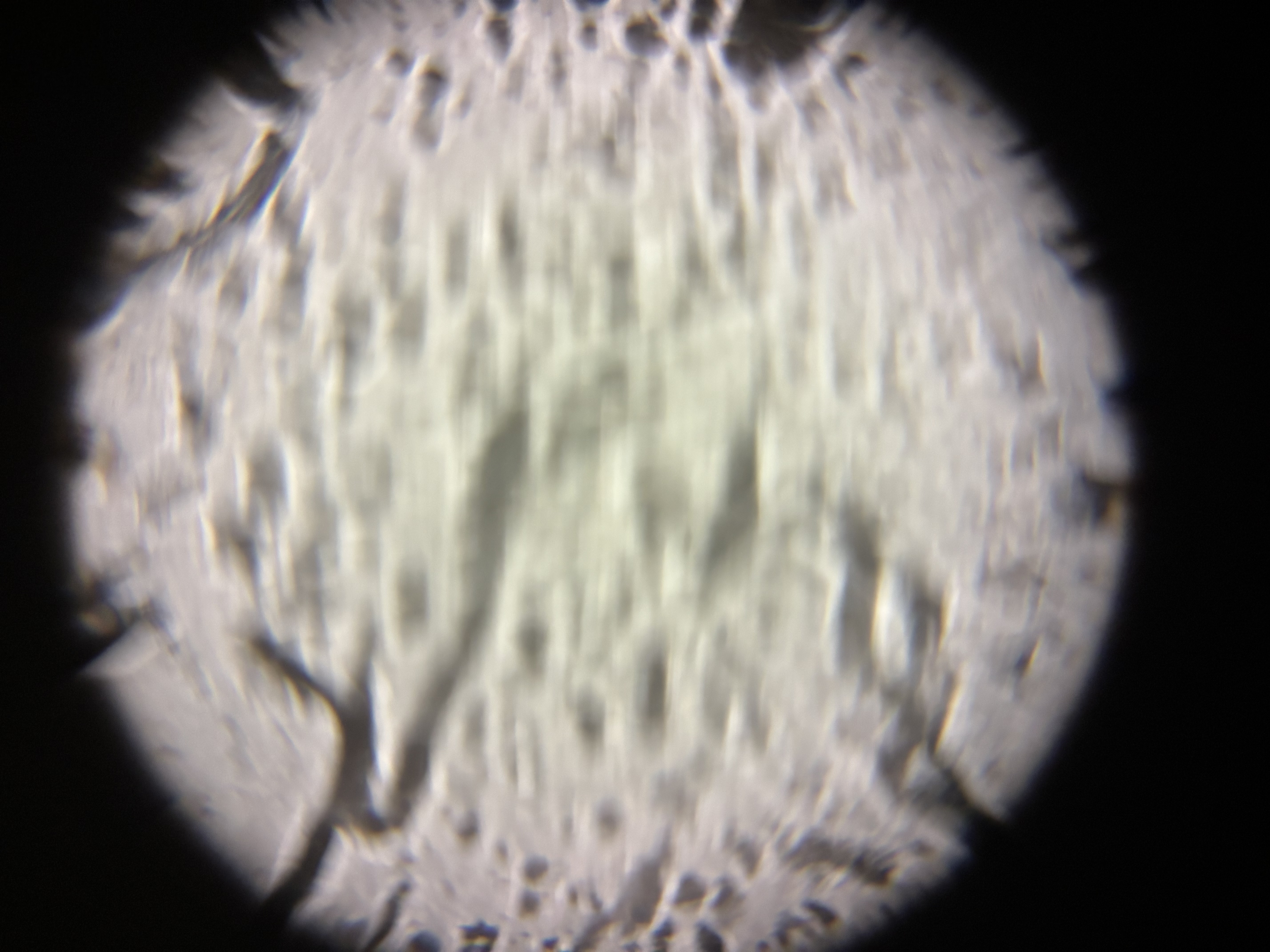 images%2FKxxjOoKVRAWo5ilB9YP5Uq3SW1w2%2F8pc1zR93330O1L1rjLyz%2F9b00d972-5725-4546-9f12-17fd0cb90f29.jpg?alt=media&token=fb318219-e243-4655-ba6a-6c73da18e0c8