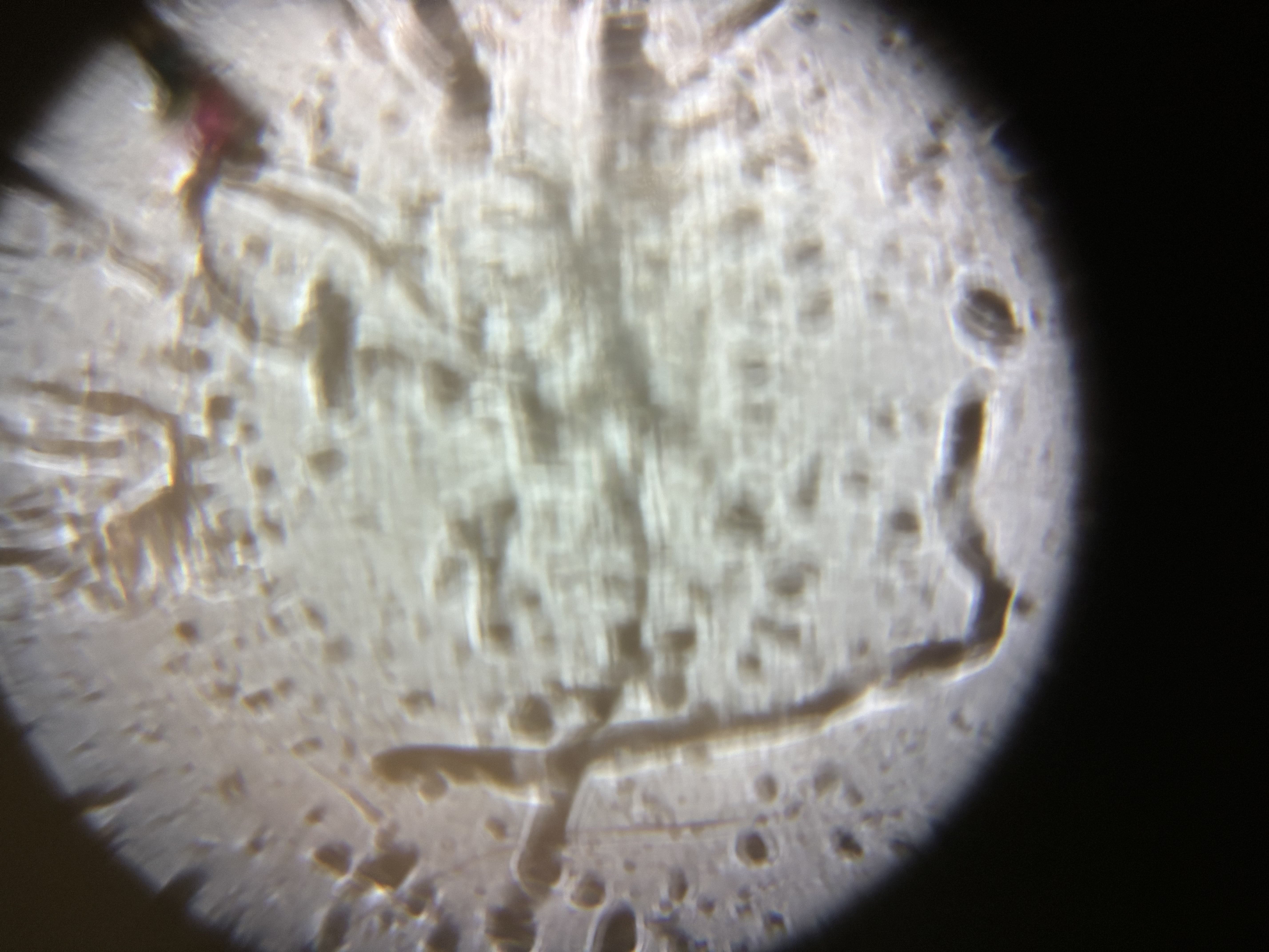 images%2FKxxjOoKVRAWo5ilB9YP5Uq3SW1w2%2FCT50Kogz6h9ab2FahEgK%2Fadf5119f-8acd-44ca-8d25-79b7fc087a24.jpg?alt=media&token=143ffbc8-64c2-4944-9a82-a64a25e381eb