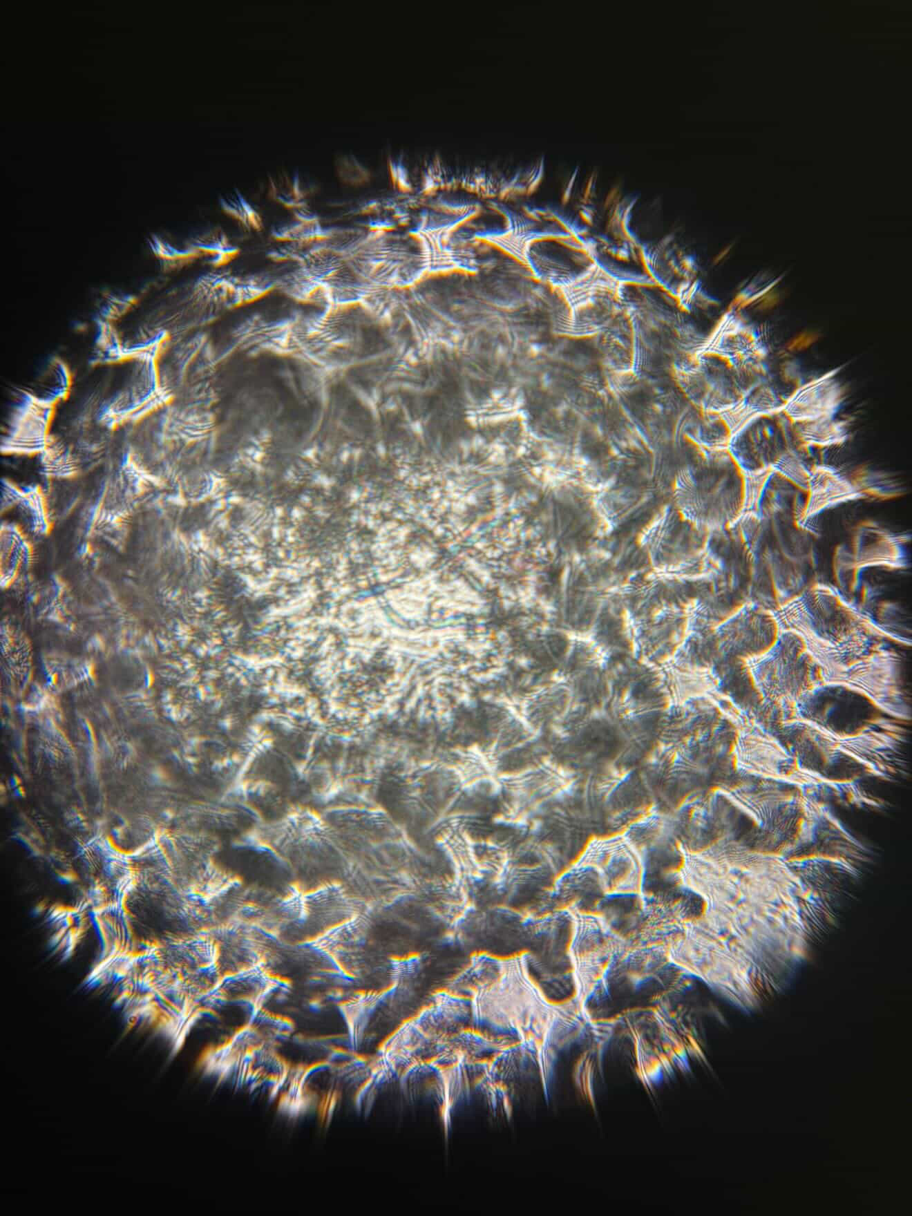 images%2FKxxjOoKVRAWo5ilB9YP5Uq3SW1w2%2FNWQn3nO2lexoEzeESxmw%2Ff6623cff-8325-4853-a301-d8aa3673a128.jpg?alt=media&token=eca7ac8c-3987-4ff7-8ed6-245c7ae7d036