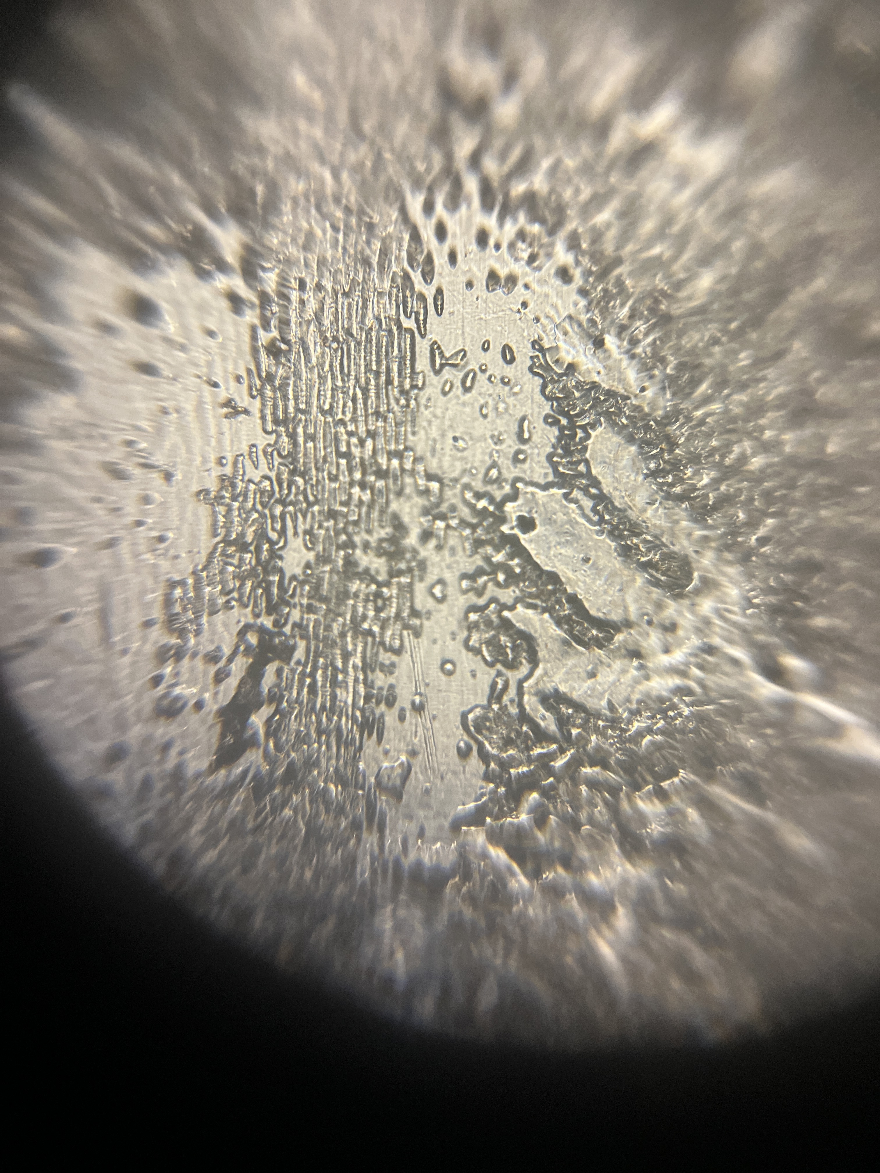 images%2FLdJc50JMQ6PtMezkyYVvh8ULLOA3%2FXfsEkgyoiJ5X6vgq78BB%2F14c0cdda-7667-4ad8-b97f-1e649c7b5442.jpg?alt=media&token=e6caa43c-44c0-41ee-a1f3-b1749ba0e2be