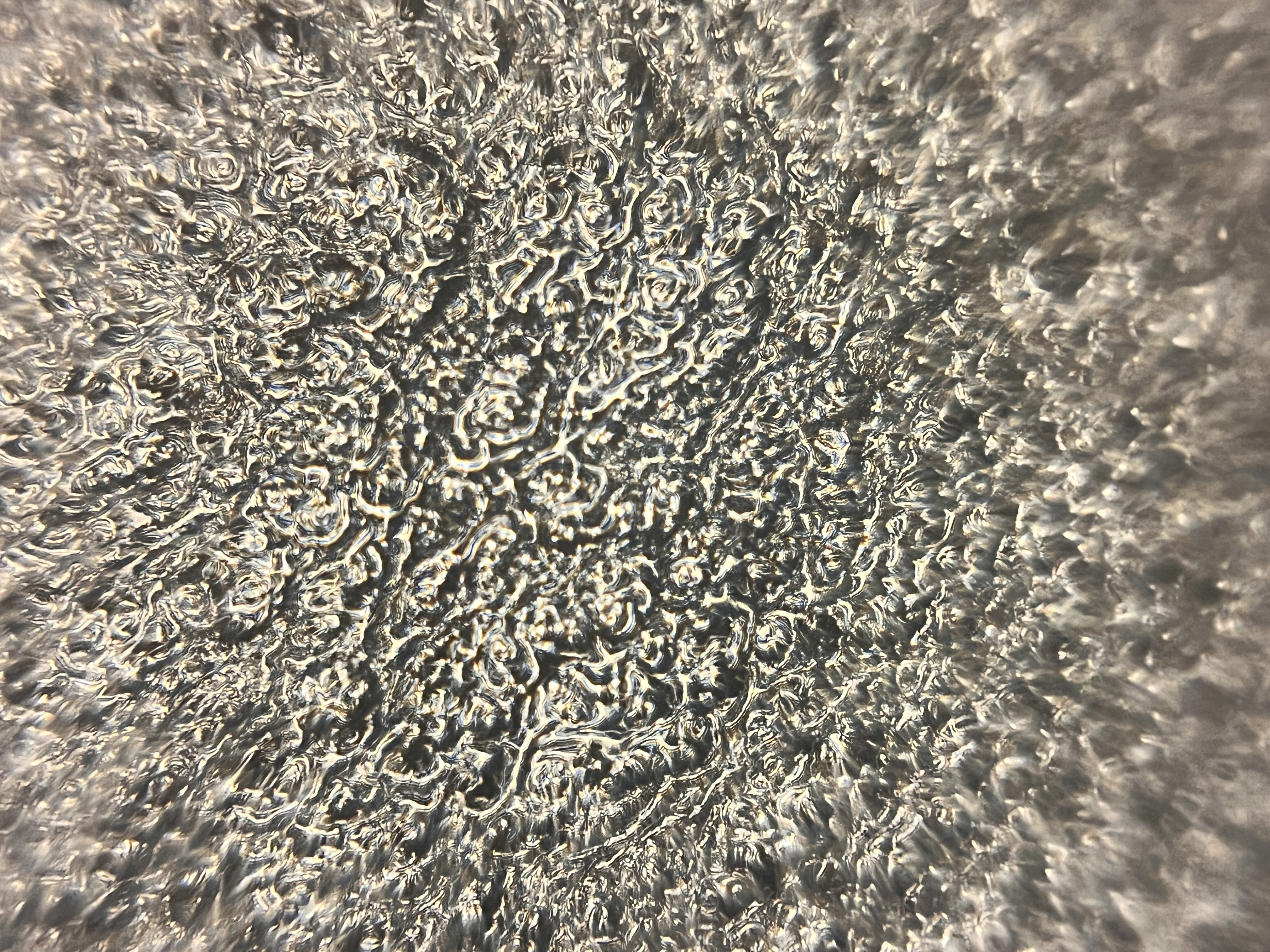 images%2FLdJc50JMQ6PtMezkyYVvh8ULLOA3%2FXfsEkgyoiJ5X6vgq78BB%2F3b0df0b4-06f8-4fad-9e45-f248d514c7d0.jpg?alt=media&token=3aa755de-3d3c-447e-8026-3345b9f449e7