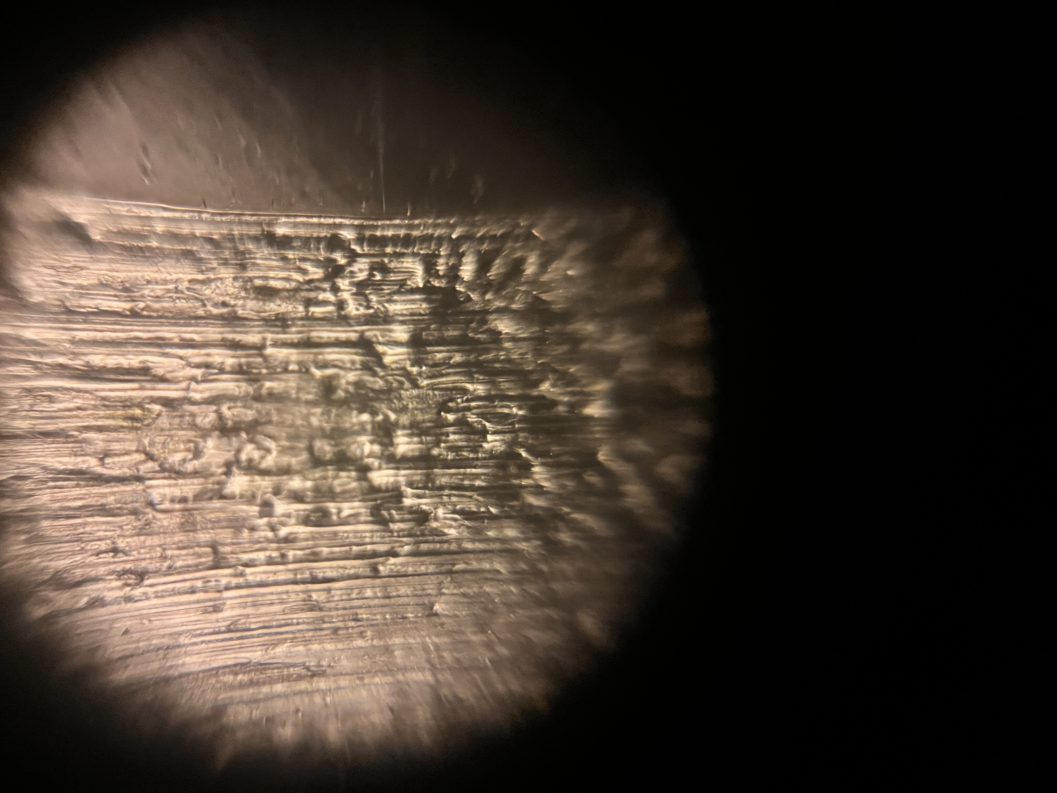 images%2FLdJc50JMQ6PtMezkyYVvh8ULLOA3%2FXfsEkgyoiJ5X6vgq78BB%2F7154c781-de06-411c-b87b-6fe36e6a4454.jpg?alt=media&token=68bbe735-27a5-4617-8f54-31888c5ee8e2