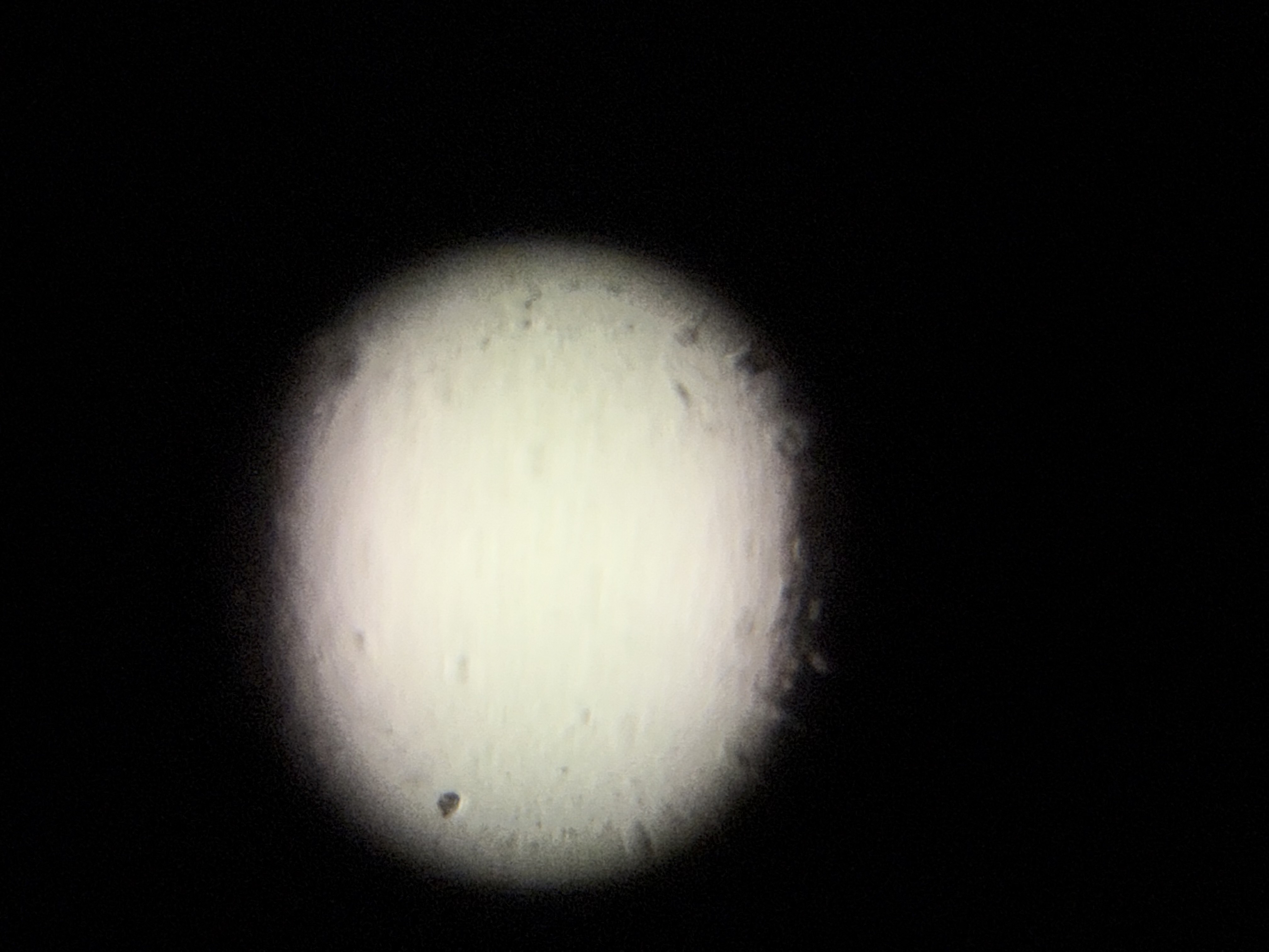 images%2FM8JZvQ7AidcdHBMCdKDQK625cbr1%2F64ml1Eq3WsF6dFxjxV3v%2F70b4f494-3c85-451e-87b1-b7a1bd91a532.jpg?alt=media&token=9ffc1bfd-acdb-4cc7-933d-3fd55fe0c5b5