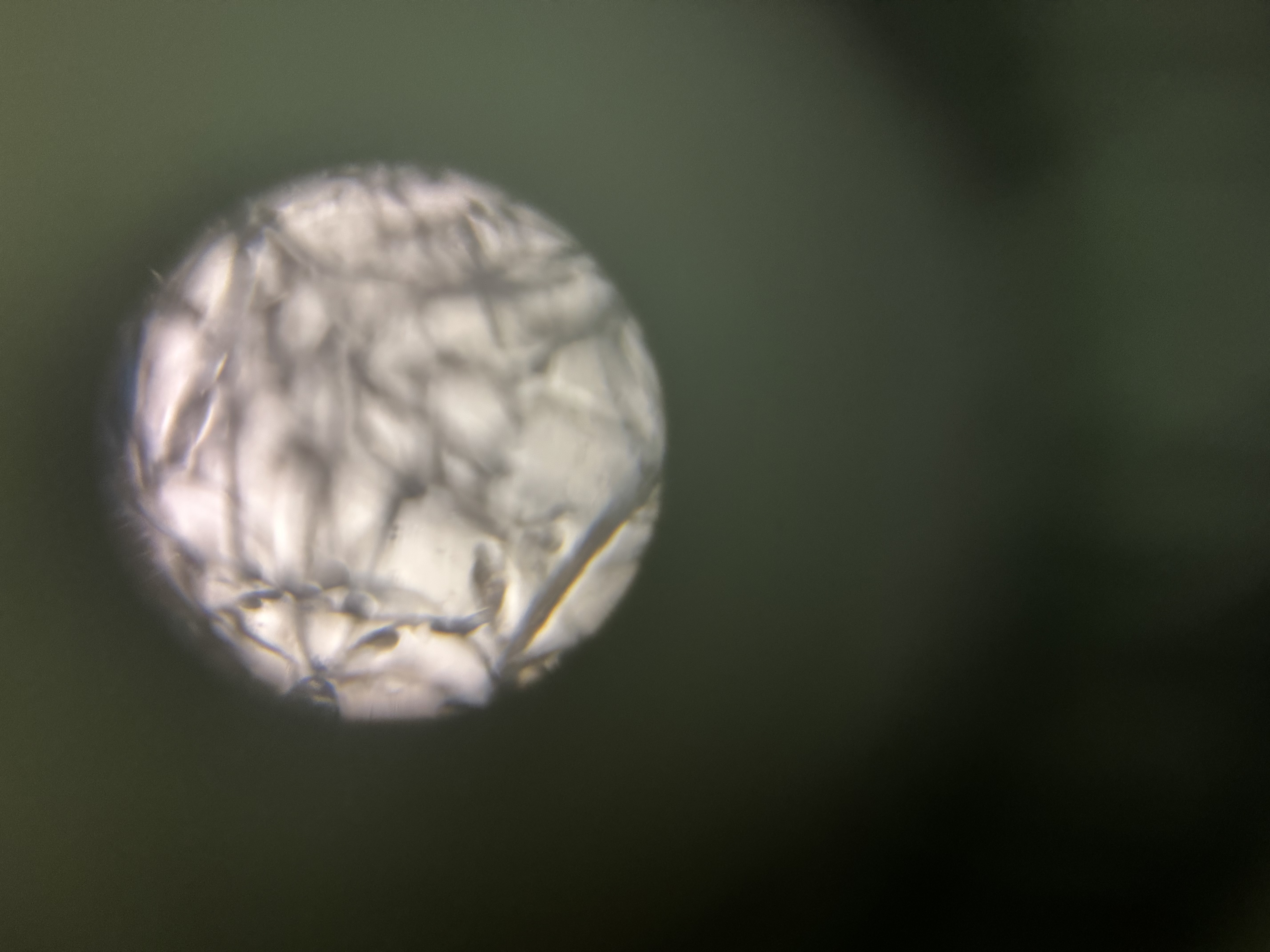 images%2FM8JZvQ7AidcdHBMCdKDQK625cbr1%2FRovm5KByo2NtkGU9uwd0%2F021cf83e-5c74-4106-a521-9fcc3581ad43.jpg?alt=media&token=8c315337-05fc-4c7f-9546-c03508e4d2e6