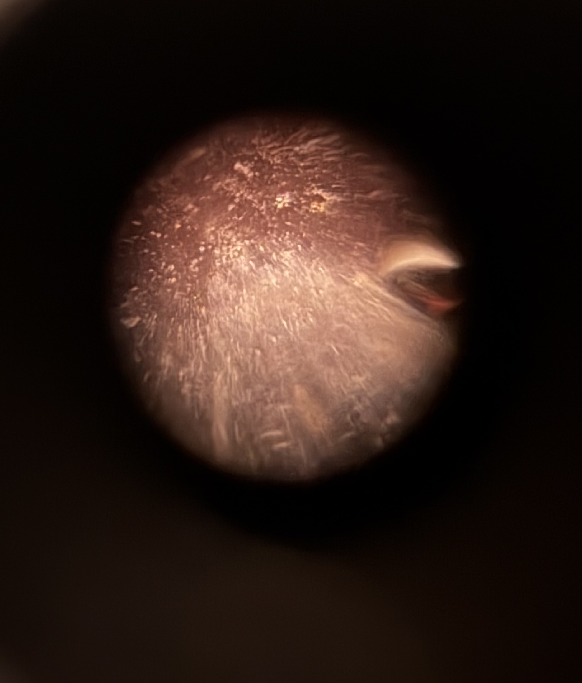 images%2FOUPwbVniRHUt75ChrHbXovEKLN93%2F8HZ12HXQtkk6wMdFX3hq%2F241a20bc-e744-44ef-b91f-2d65e72a701f.jpg?alt=media&token=8abebced-1033-4455-b2c8-38068a78bf79