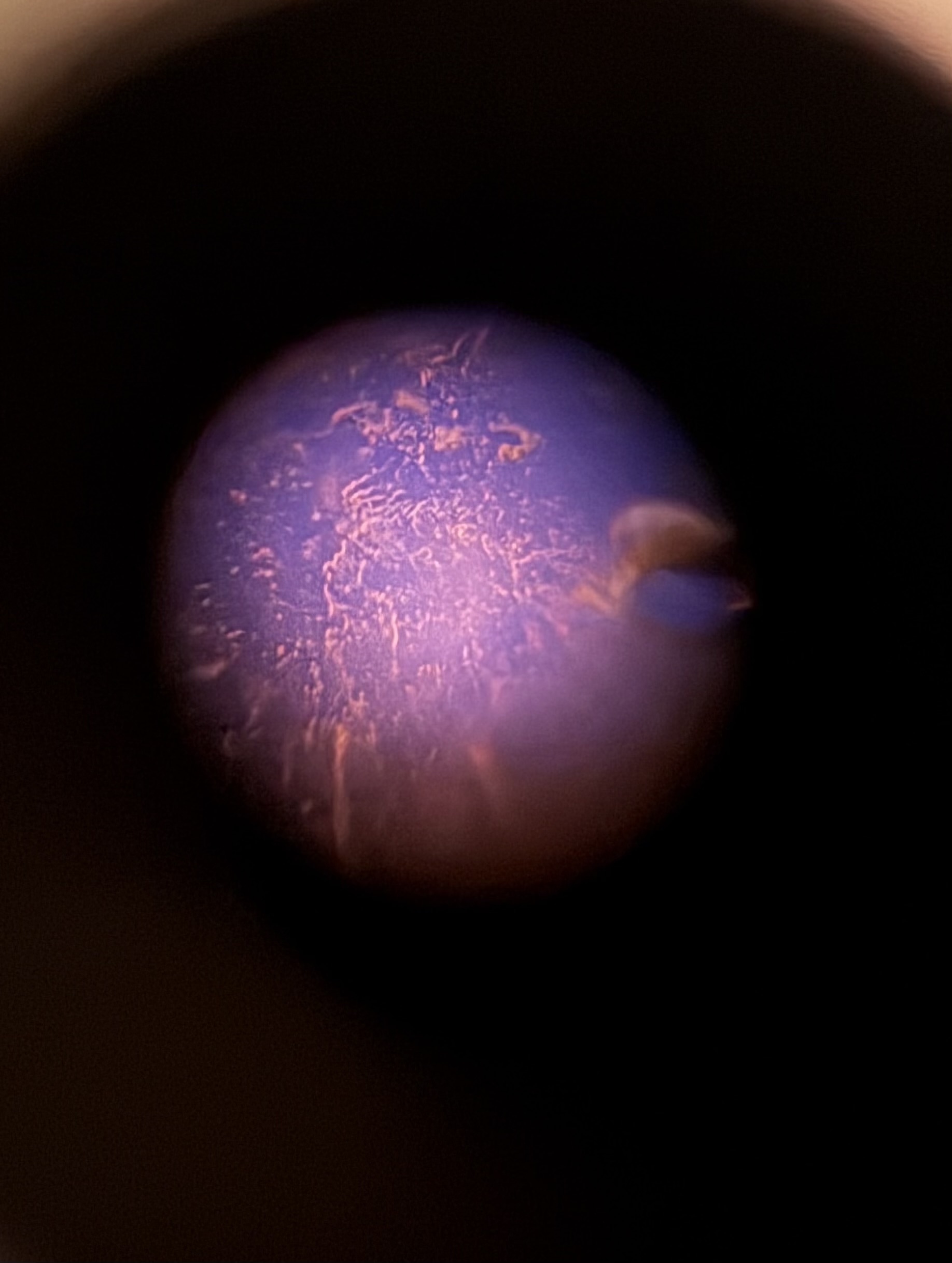 images%2FOUPwbVniRHUt75ChrHbXovEKLN93%2F8HZ12HXQtkk6wMdFX3hq%2Fa2db8c97-7732-4e3f-993f-bf26e62da828.jpg?alt=media&token=b4a71301-a1a2-4a2a-b13b-6c97c857f70b