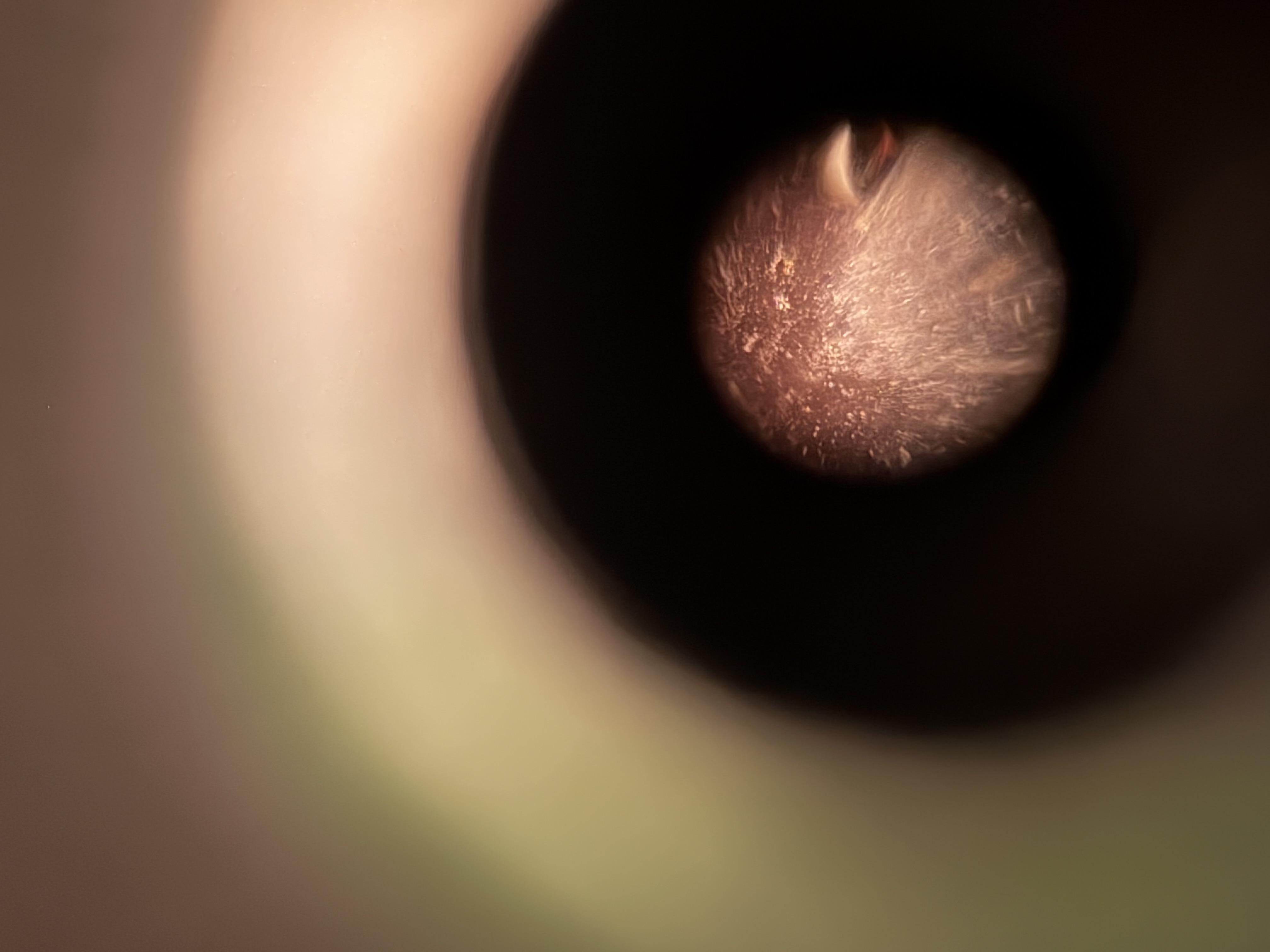 images%2FOUPwbVniRHUt75ChrHbXovEKLN93%2F9ANutAA3wesJgPlnPz1r%2F2bd45f25-b440-40f2-8e11-14b504824627.jpg?alt=media&token=e94973c3-43fc-460e-9b26-f6c9d4d96b87