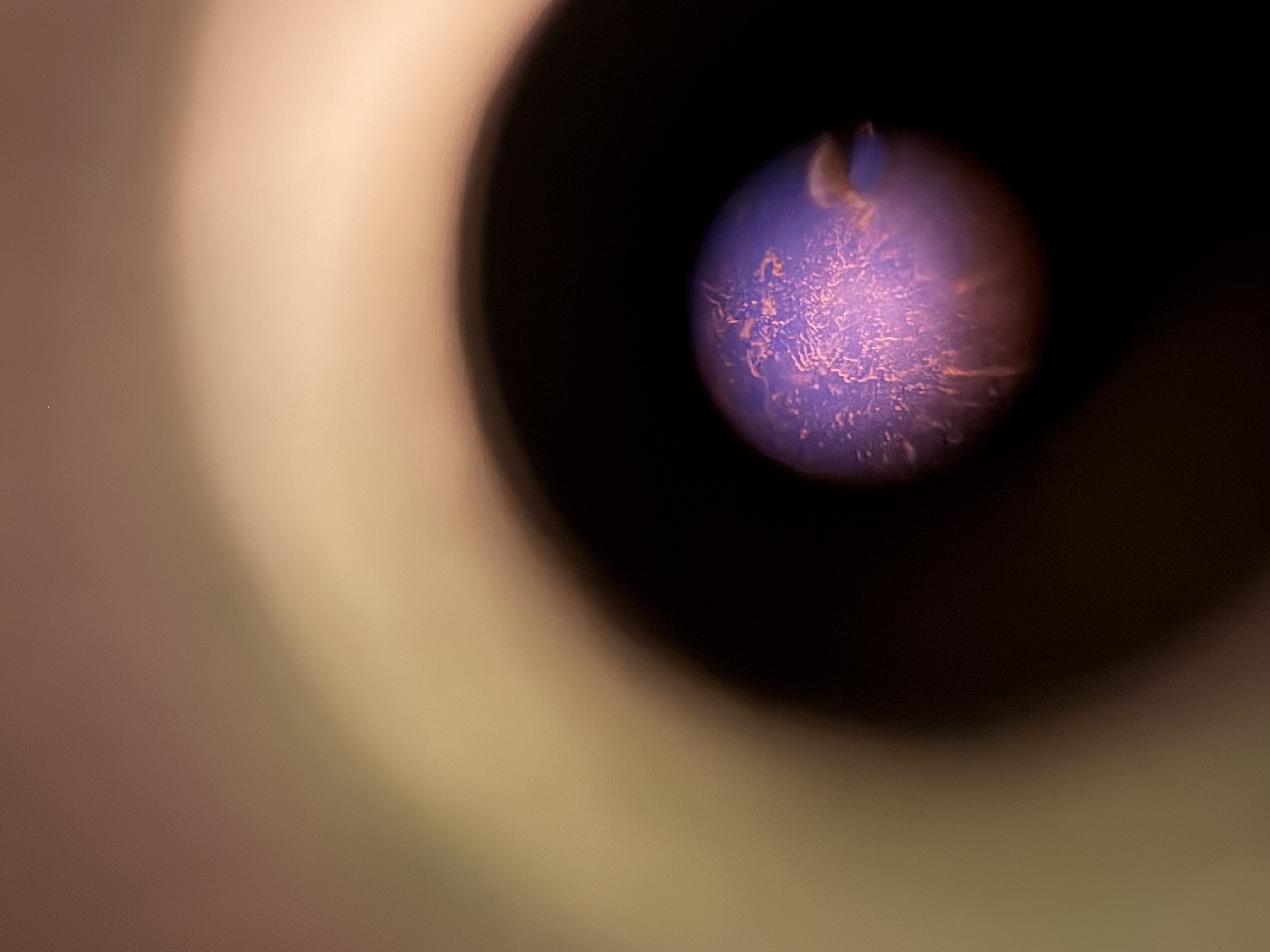 images%2FOUPwbVniRHUt75ChrHbXovEKLN93%2F9ANutAA3wesJgPlnPz1r%2F58f4e7eb-20b9-41ed-888b-2d0987102288.jpg?alt=media&token=997133d0-09fa-4645-a68b-1f343b4ad1f7