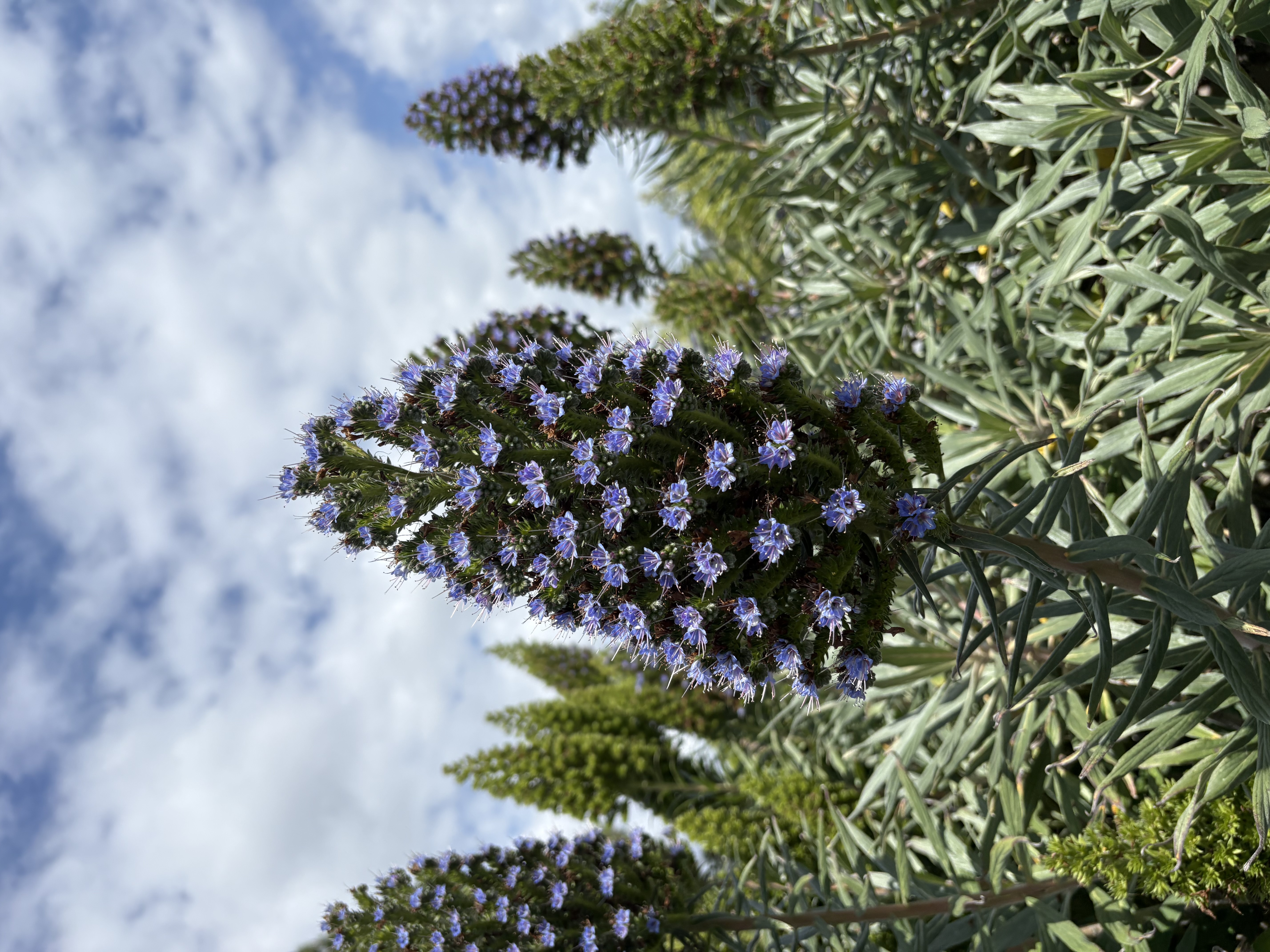 images%2FPzOdch3gqpNZSIyBhdMtp3SgZbq1%2FmI9q5V1AVRnHsHnzWF7u%2F476e4bec-a44c-48fa-a0fb-cd74a2619266.jpg?alt=media&token=d74475d7-7270-49ae-bdb1-b5b0ec02cbc3