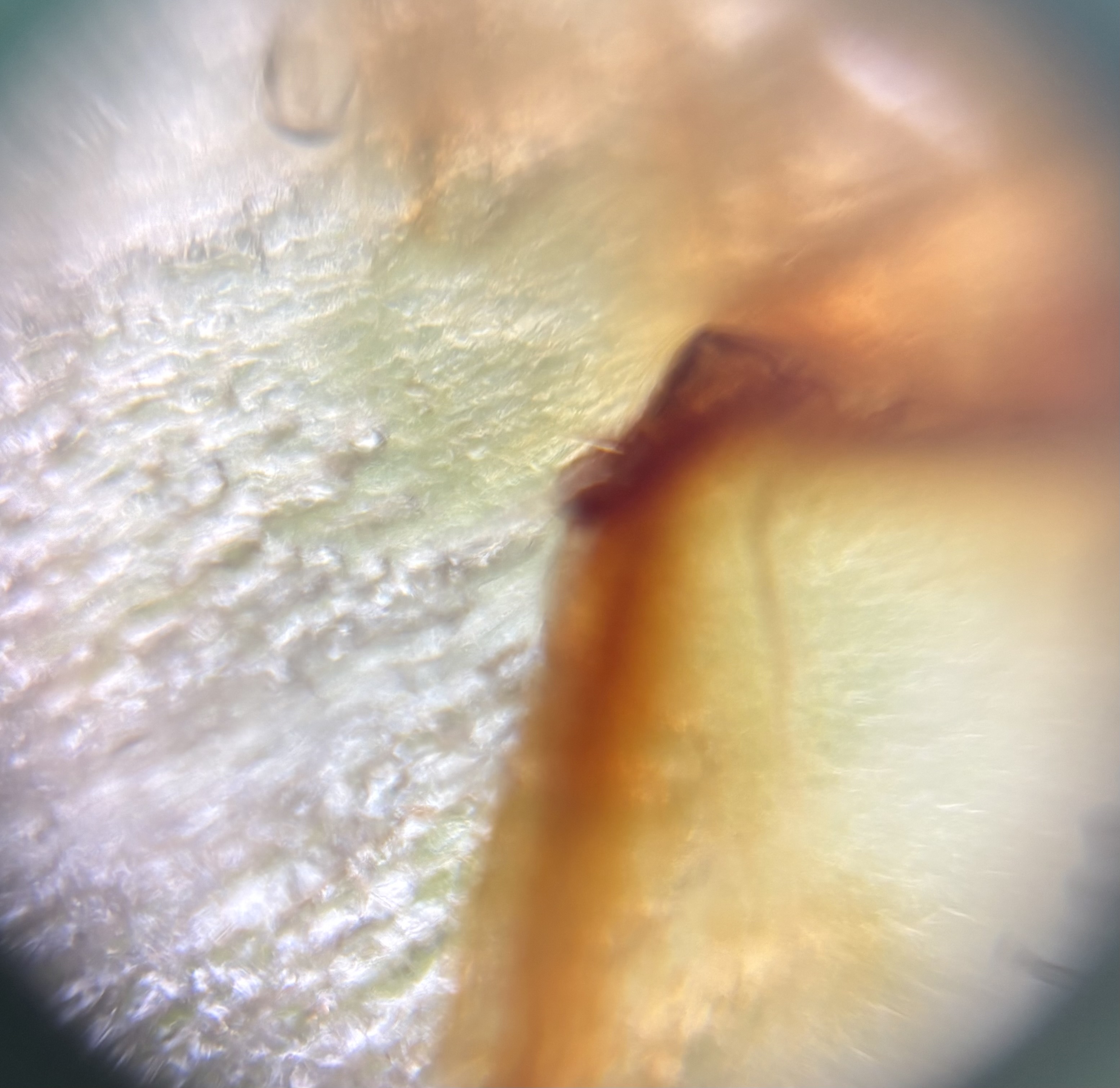 images%2FPzOdch3gqpNZSIyBhdMtp3SgZbq1%2FmI9q5V1AVRnHsHnzWF7u%2F8930c124-c39c-4d23-beb7-06356cbf8884.jpg?alt=media&token=c0274513-5111-4cdc-8f6b-c1d28fdac80d