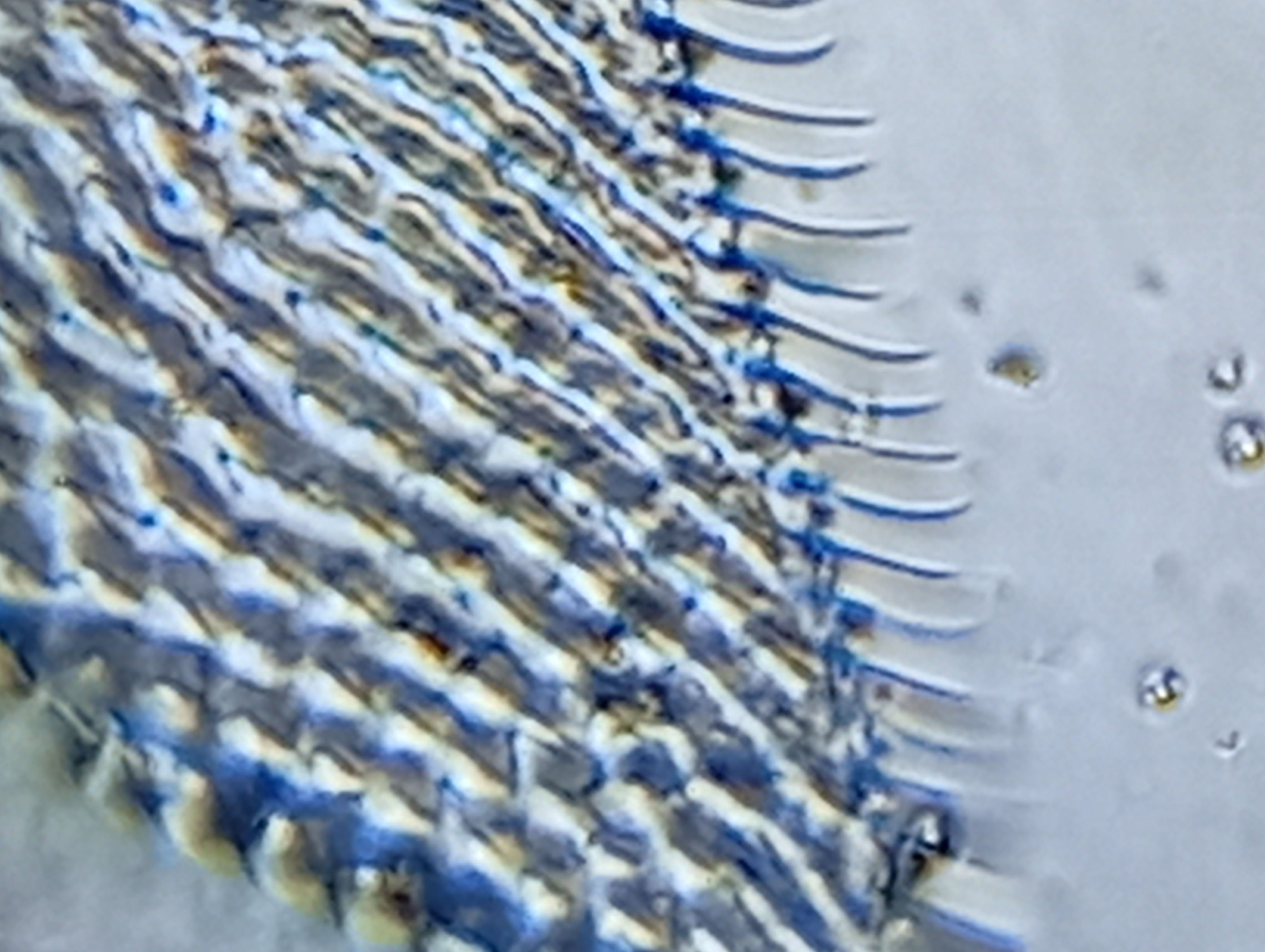 images%2FUQPgod5kdLbSg3eLdvSSCZBrHqi1%2FLBXKh25Bfm5NA55HhowL%2F0d6f866c-f113-47dc-8942-96ed25a99e23.jpeg?alt=media&token=4e7db994-ef6d-4f6c-bb04-09da6c8589e6