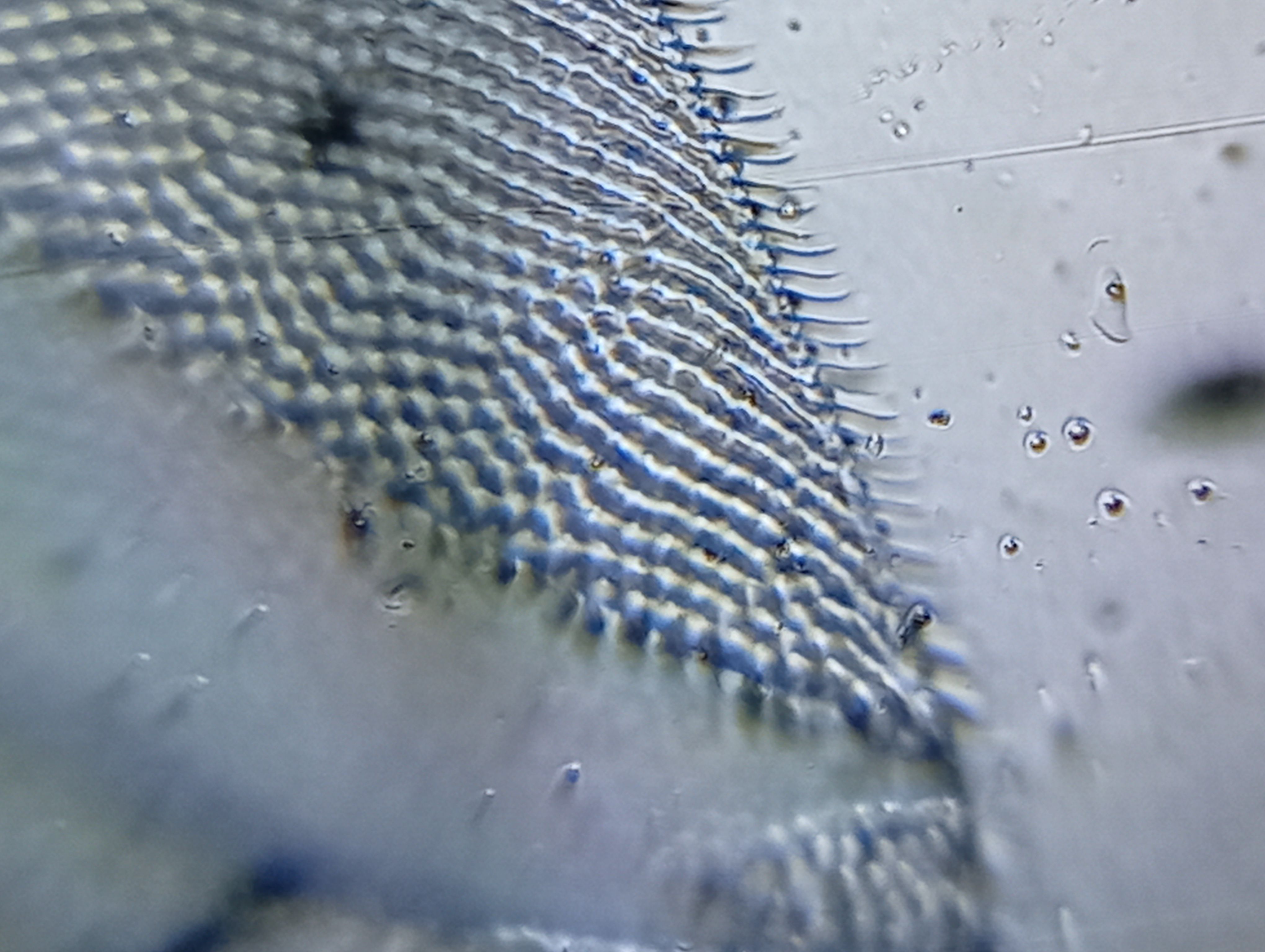 images%2FUQPgod5kdLbSg3eLdvSSCZBrHqi1%2FLBXKh25Bfm5NA55HhowL%2F50a44676-9c41-403b-b76e-b2184809a5bb.jpeg?alt=media&token=5ea01134-389d-4cf4-9e31-b83d8c6c8e58