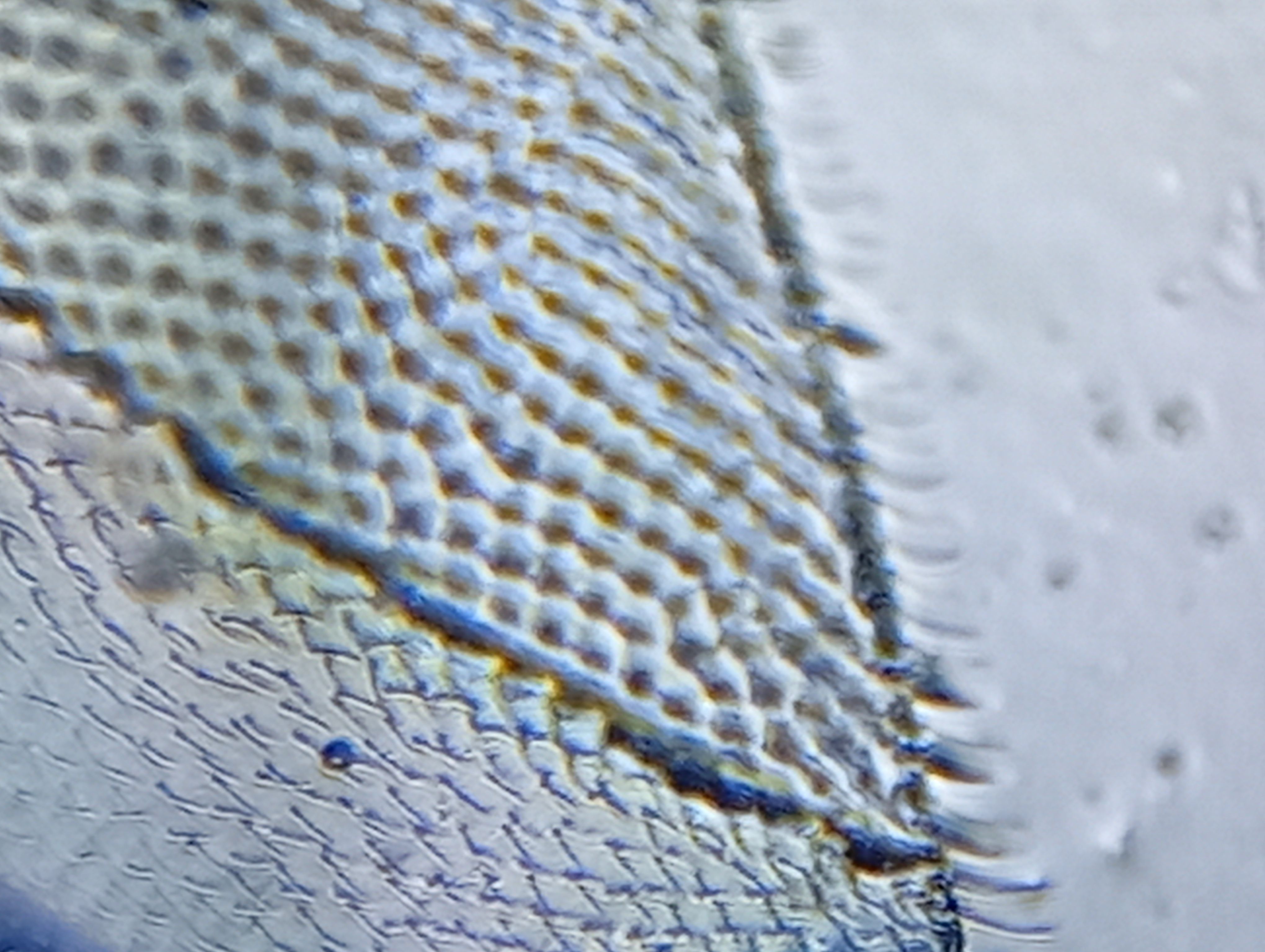 images%2FUQPgod5kdLbSg3eLdvSSCZBrHqi1%2FLBXKh25Bfm5NA55HhowL%2F70b513a3-b04a-4344-a756-9a556d4c9f13.jpeg?alt=media&token=bbbe0966-b67e-4f65-9286-786bca59ce1f