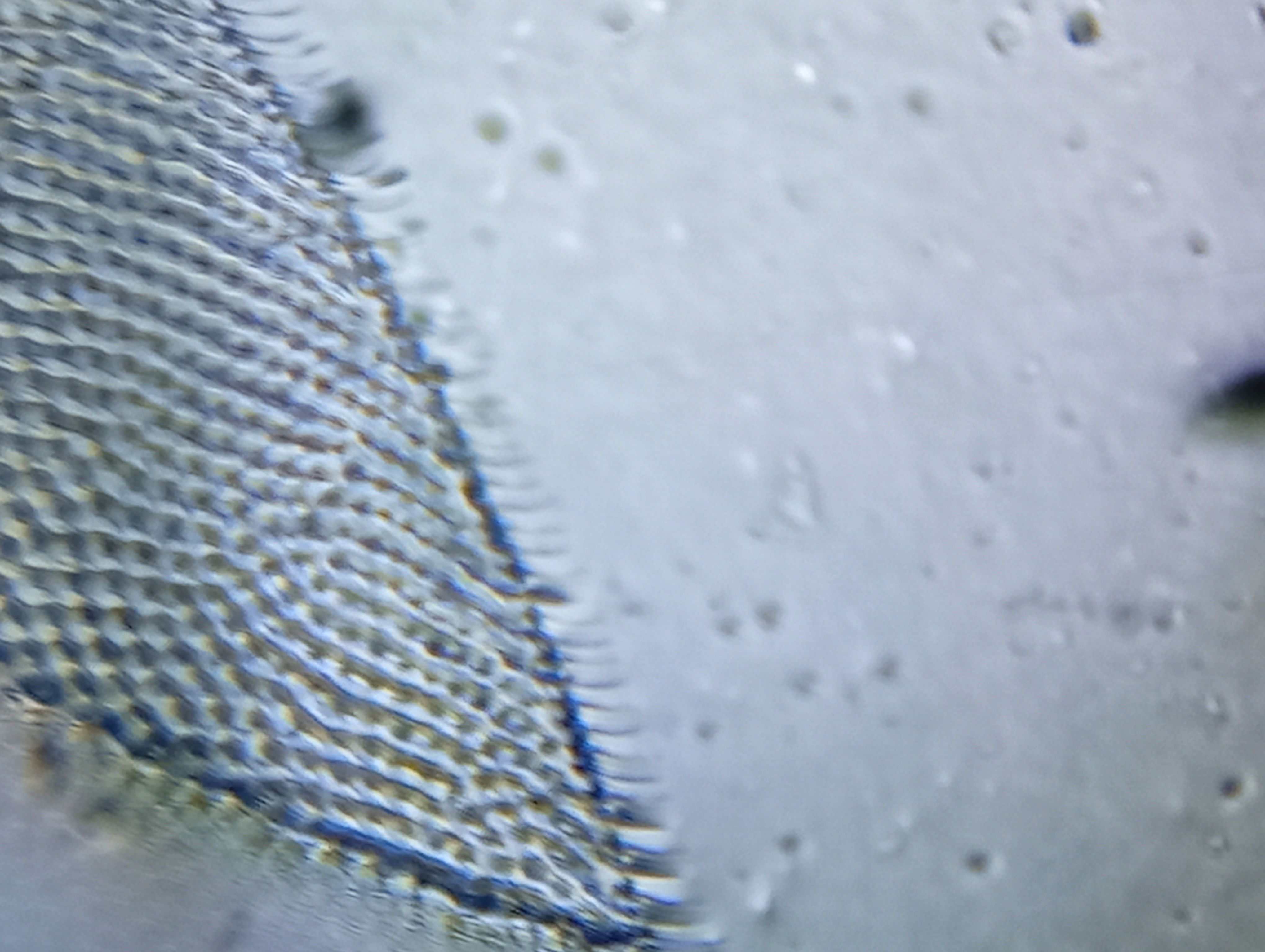 images%2FUQPgod5kdLbSg3eLdvSSCZBrHqi1%2FLBXKh25Bfm5NA55HhowL%2Ffc267440-3d90-48a1-81a0-6fa5e3965ca8.jpeg?alt=media&token=d86de5f5-f67d-4bb8-b39a-d7e0e09ee63f