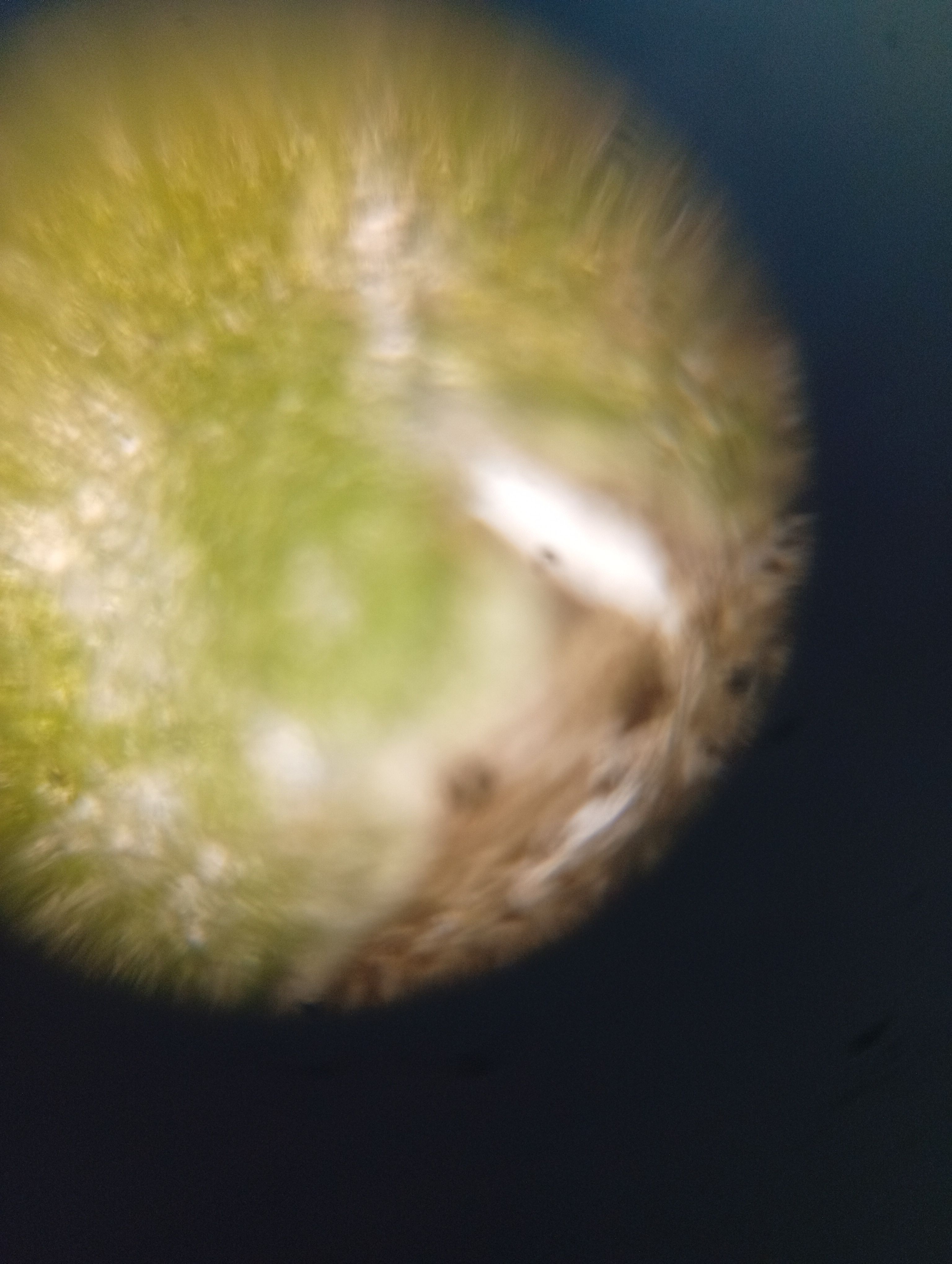 images%2FUQPgod5kdLbSg3eLdvSSCZBrHqi1%2FW1TCf0c7fDBIlRehsjct%2Fb8e5a779-831e-4399-a79b-618ddfa8e20d.jpeg?alt=media&token=65067820-40a6-4509-b289-7575f0aed72f