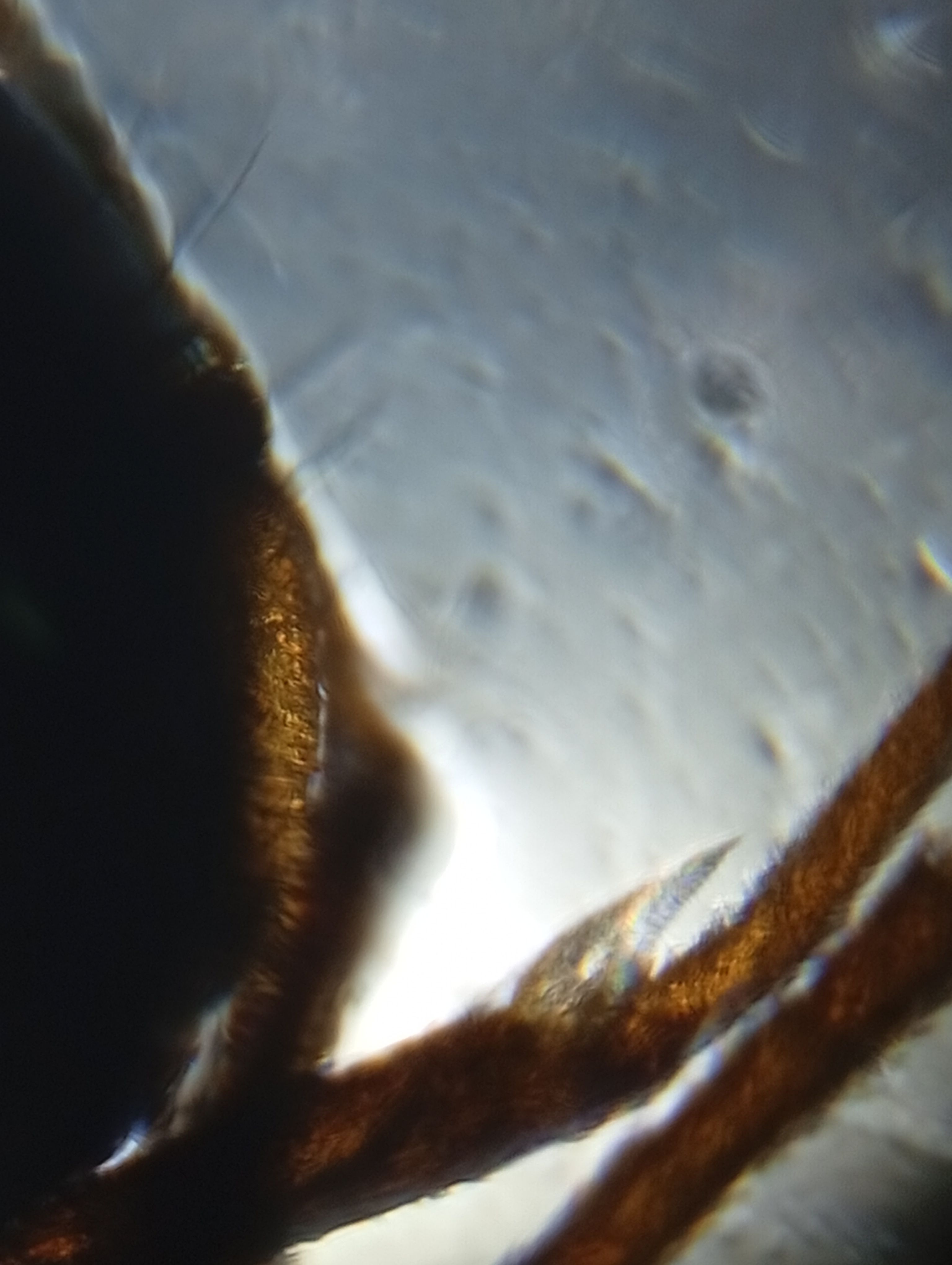 images%2FUQPgod5kdLbSg3eLdvSSCZBrHqi1%2FrjOGIRWDK8D4aWSJcZeC%2F465f0838-c58b-4a24-a89c-2159bd91d2f5.jpeg?alt=media&token=f4d37319-18c6-4615-ae93-fcad0bf3d2de