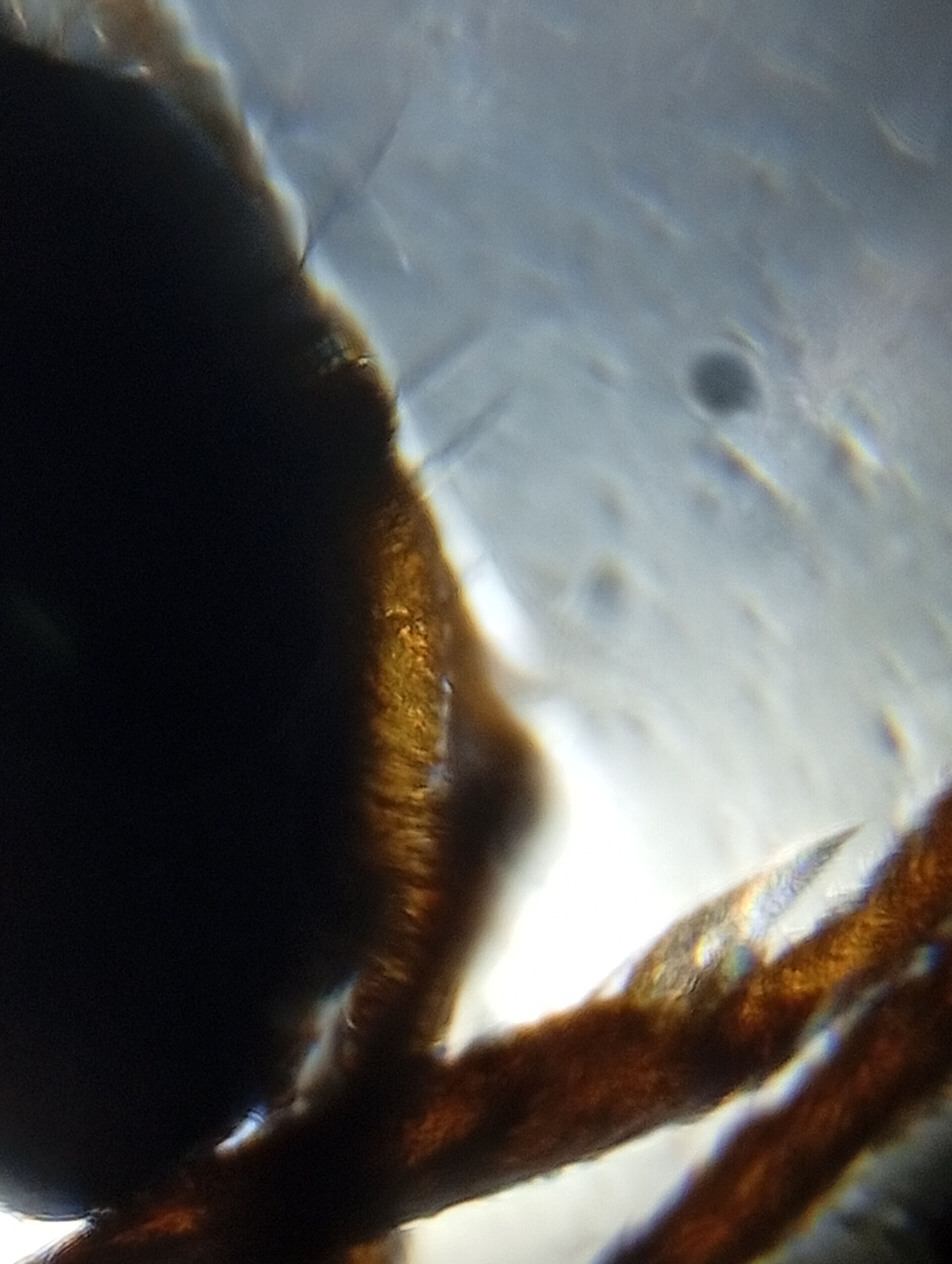 images%2FUQPgod5kdLbSg3eLdvSSCZBrHqi1%2FrjOGIRWDK8D4aWSJcZeC%2Fa00dc541-25f3-4d94-94a5-e0e8b5d81f73.jpeg?alt=media&token=73ab3b37-2a18-431d-bf86-6d009fe5a6b6