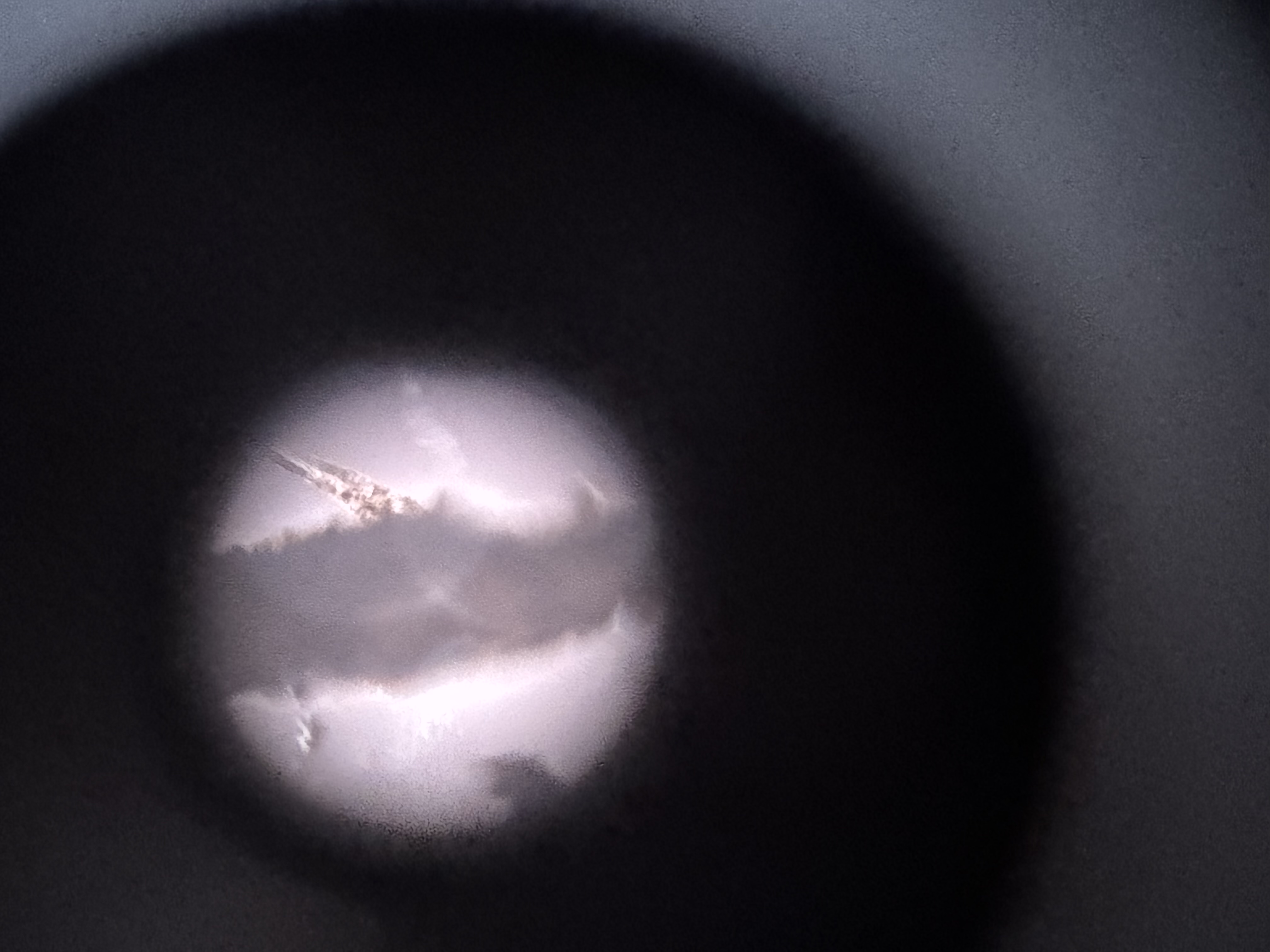 images%2FX8ZxDlmhWXV8W6PiidlUkCzkr7s1%2FKkULCxx1a1zmcDuJExZt%2F29319ee0-6476-4391-9995-457740055d3e.jpg?alt=media&token=8f932259-7593-458f-b8c5-698f0e52253c