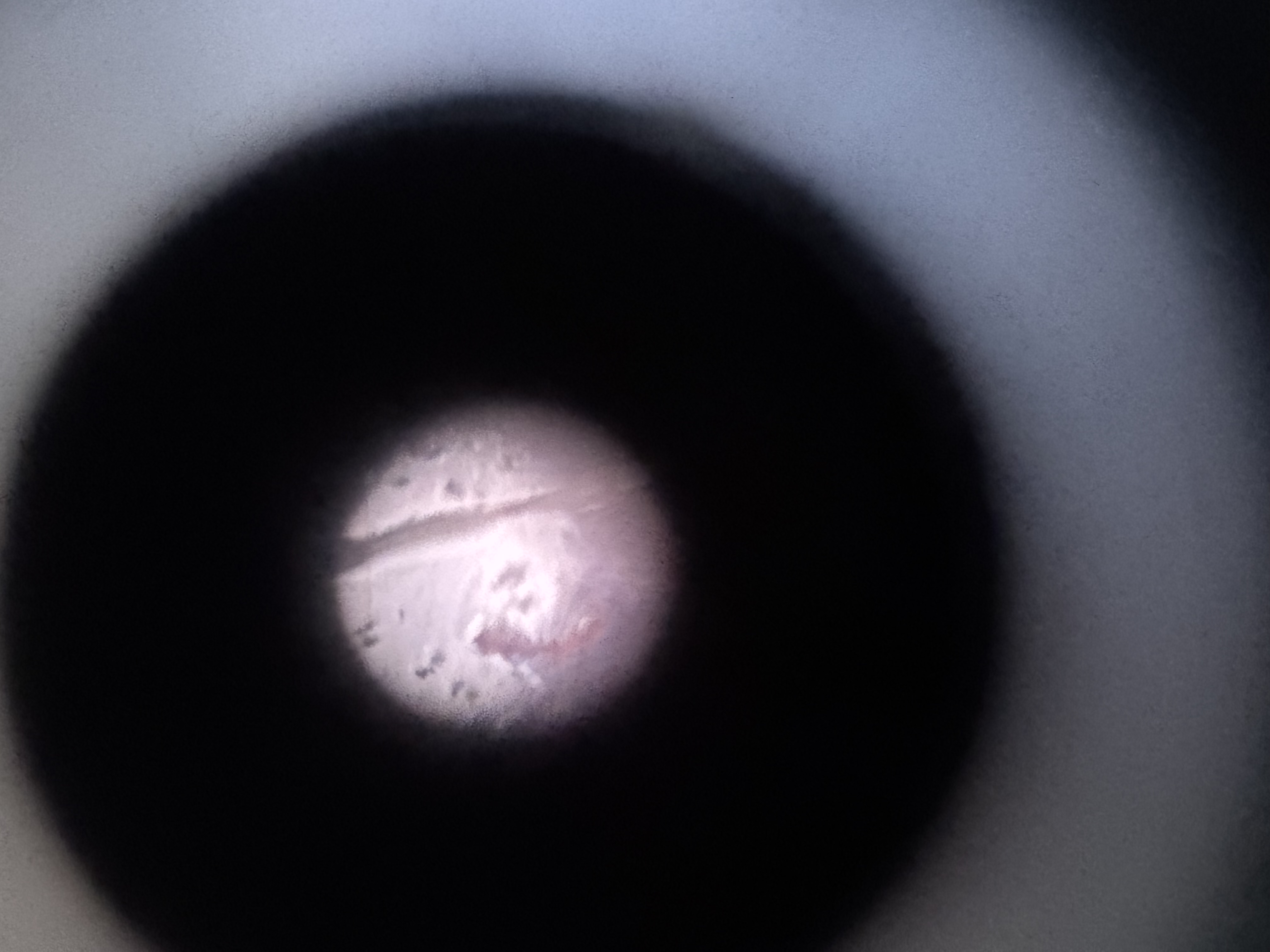 images%2FX8ZxDlmhWXV8W6PiidlUkCzkr7s1%2FbkPtSJ7RjMnUezB7BHz7%2F5a9bc6f6-b209-4448-b8e5-197498482350.jpg?alt=media&token=7cf4753b-6d71-49a1-8b34-bb2ae8dd1fb8