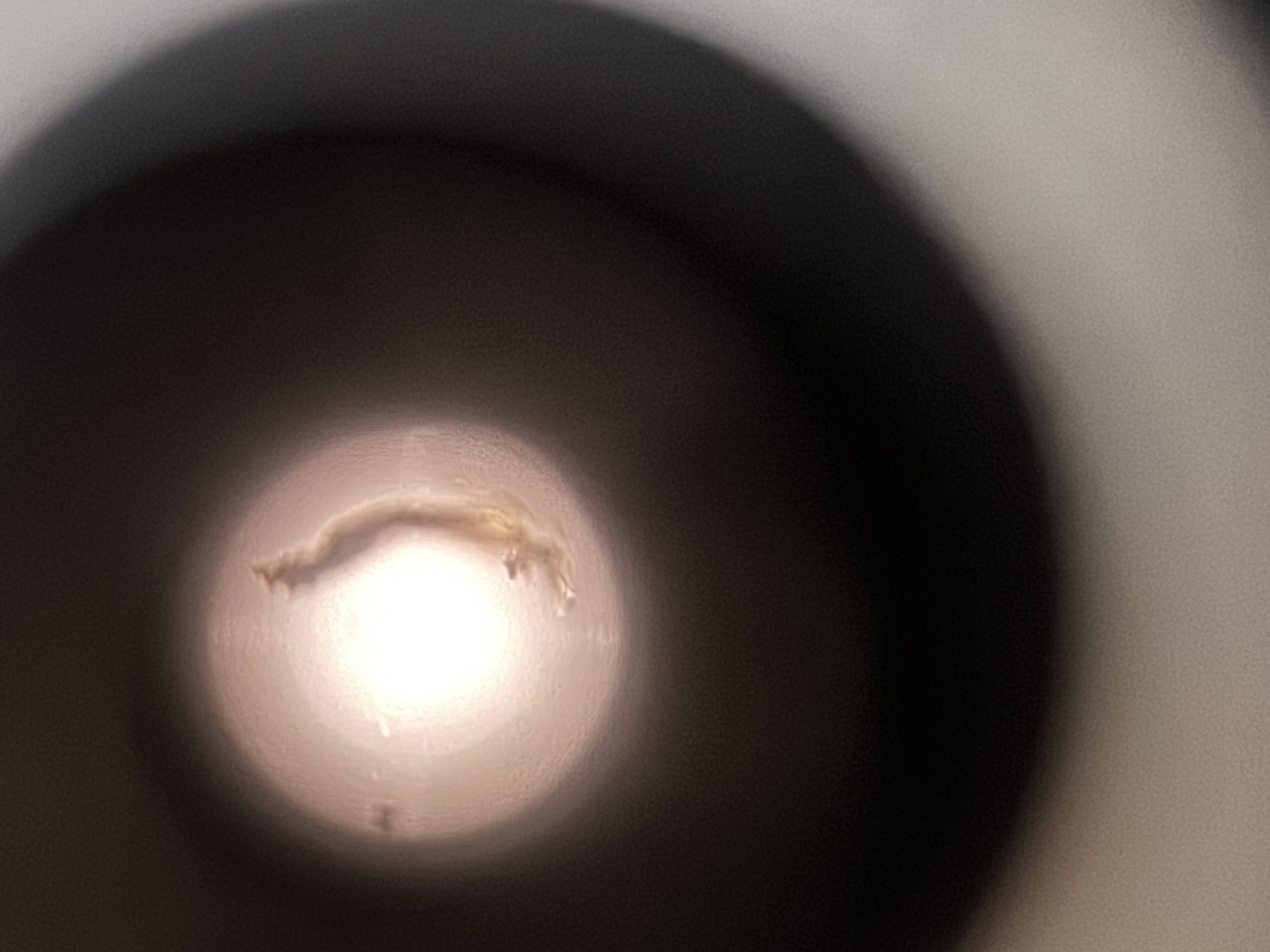 images%2FX8ZxDlmhWXV8W6PiidlUkCzkr7s1%2FgTMTJw3m1oTy2keHtZxa%2Fdf03797a-884a-4742-9095-3df0989aefa1.jpg?alt=media&token=faf37f73-bbc2-49e7-9e4c-d29e8a7a5efe