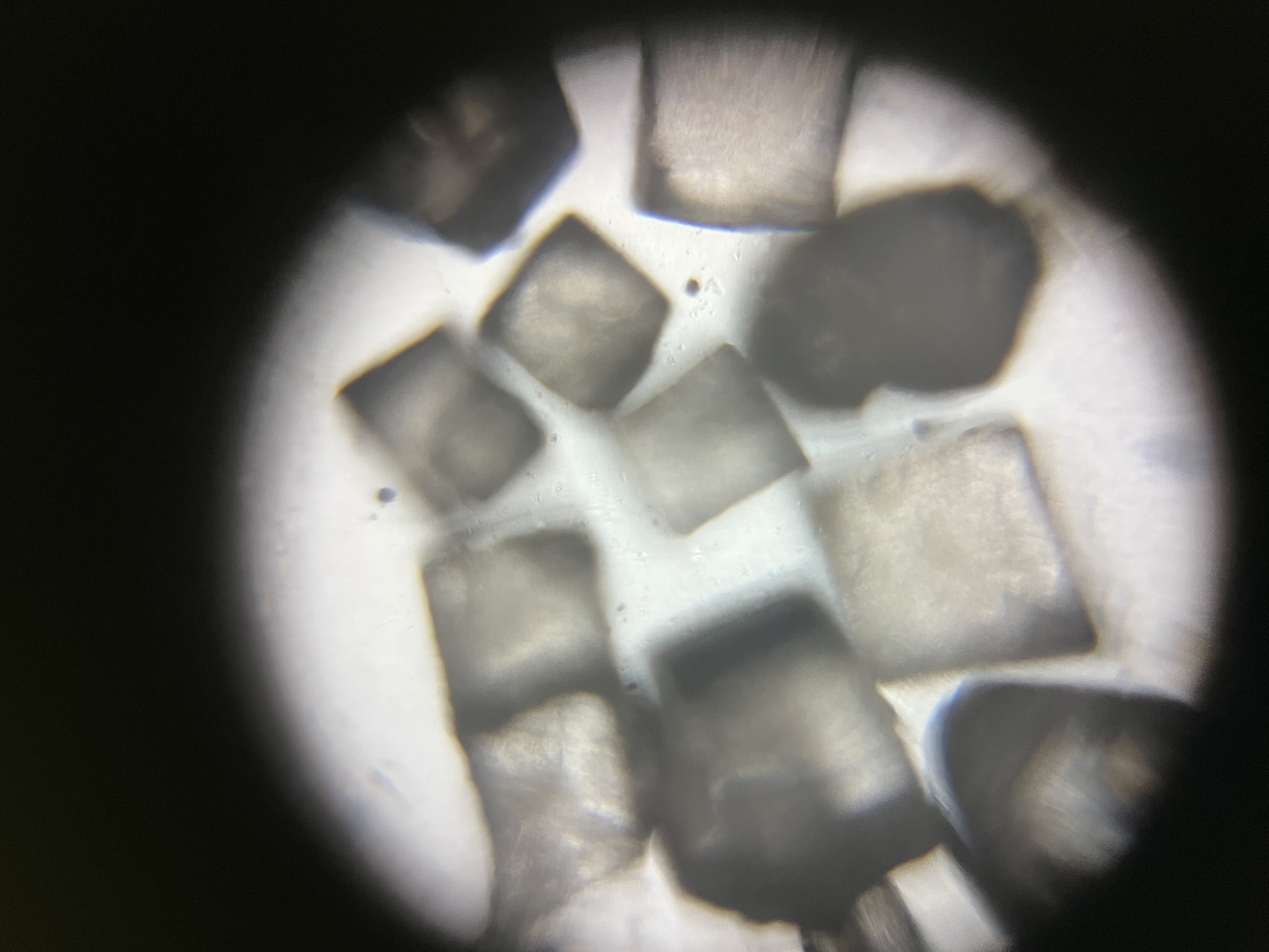 images%2FYNEaIrU9dcOBKo6O86HnLy9iRP12%2Fd8Ng90dPKHQkjYk2Vagf%2F175c0b7b-3161-4015-a785-5f453d30220d.jpg?alt=media&token=c73bfbd0-b86a-48d0-8ea1-b754e1560767