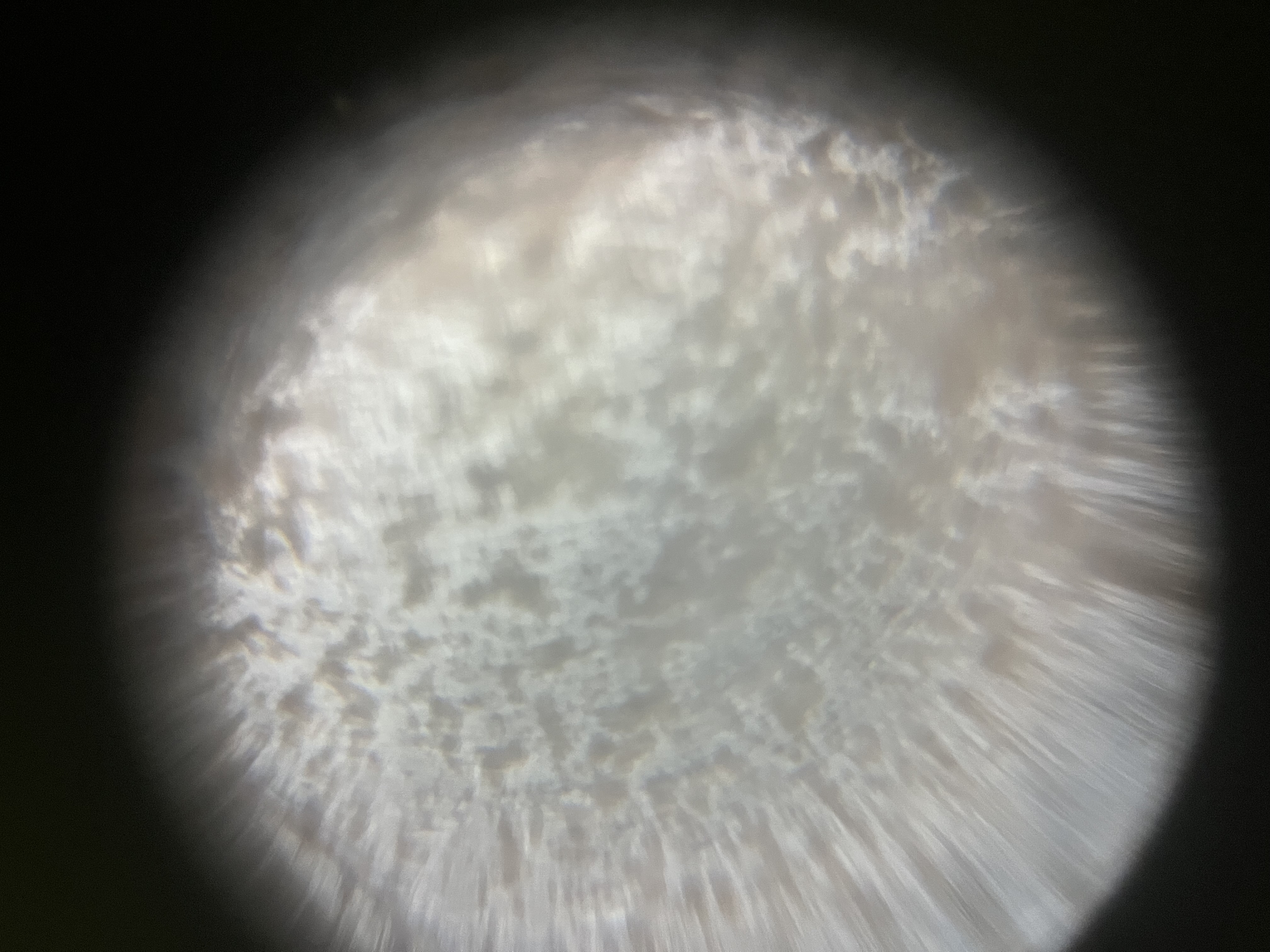 images%2FYNEaIrU9dcOBKo6O86HnLy9iRP12%2Fd8Ng90dPKHQkjYk2Vagf%2F4782ba51-ece1-4cc3-a949-d42963b775d0.jpg?alt=media&token=db7eb02d-ac91-4af9-84d6-c3e6d23fe24a