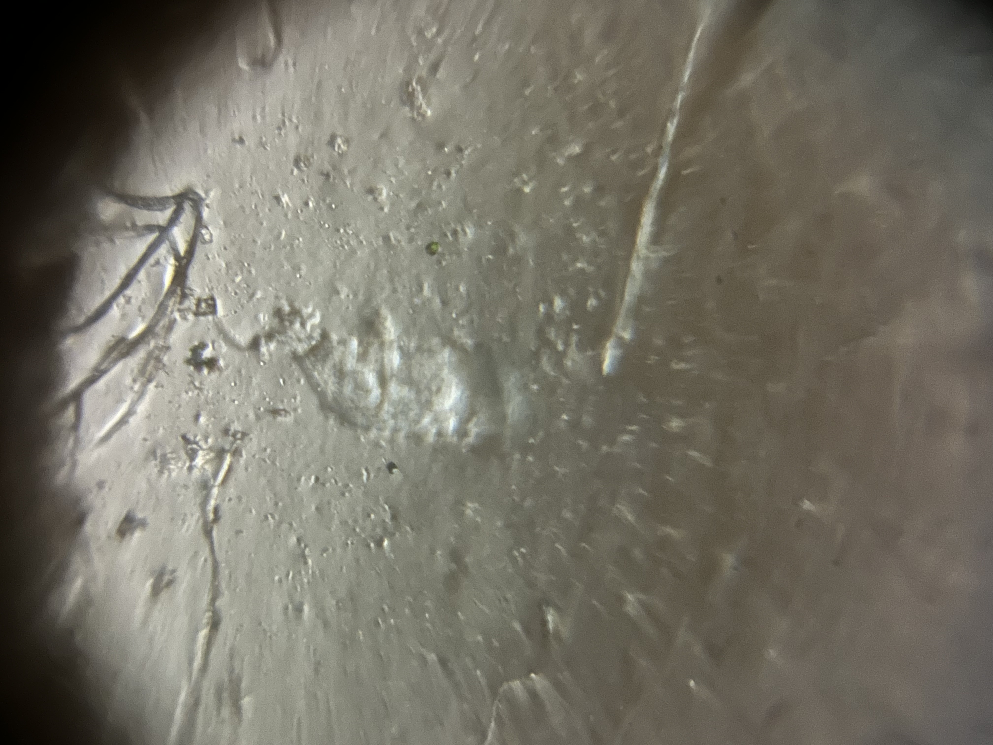 images%2FYNEaIrU9dcOBKo6O86HnLy9iRP12%2Fd8Ng90dPKHQkjYk2Vagf%2Fa88dcccd-1b2d-4110-9cec-dfd49284e0ad.jpg?alt=media&token=399d7f94-8539-4a42-8c9e-bd86fa255a39